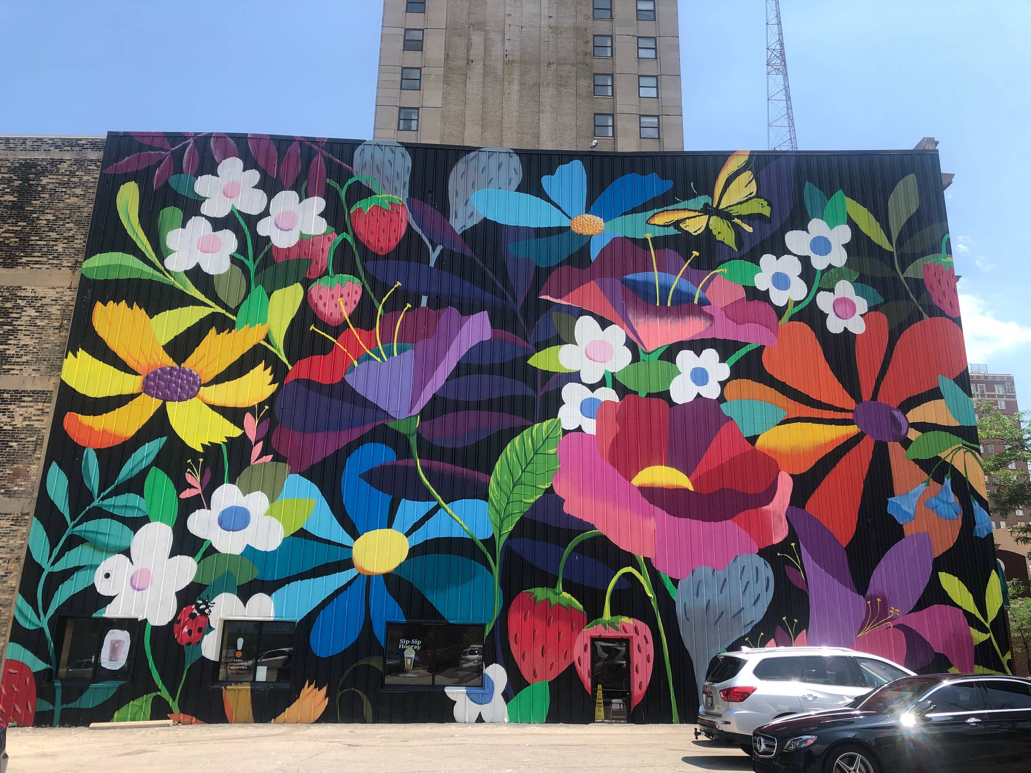 Emma Daisy Gertel&mdash;WESTOWN IN BLOOM