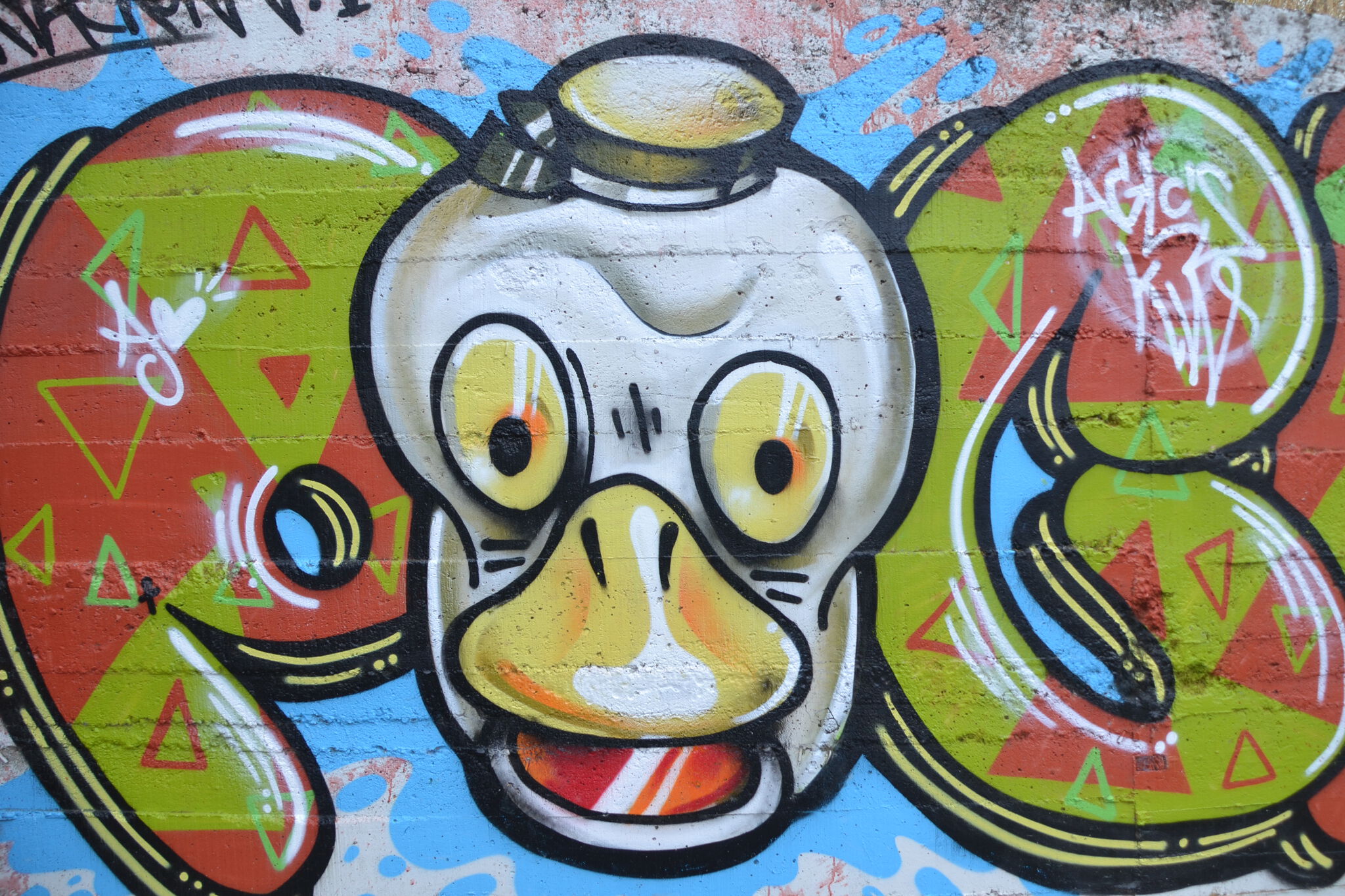 Loygorri, POCH1&mdash;Pato / Duck