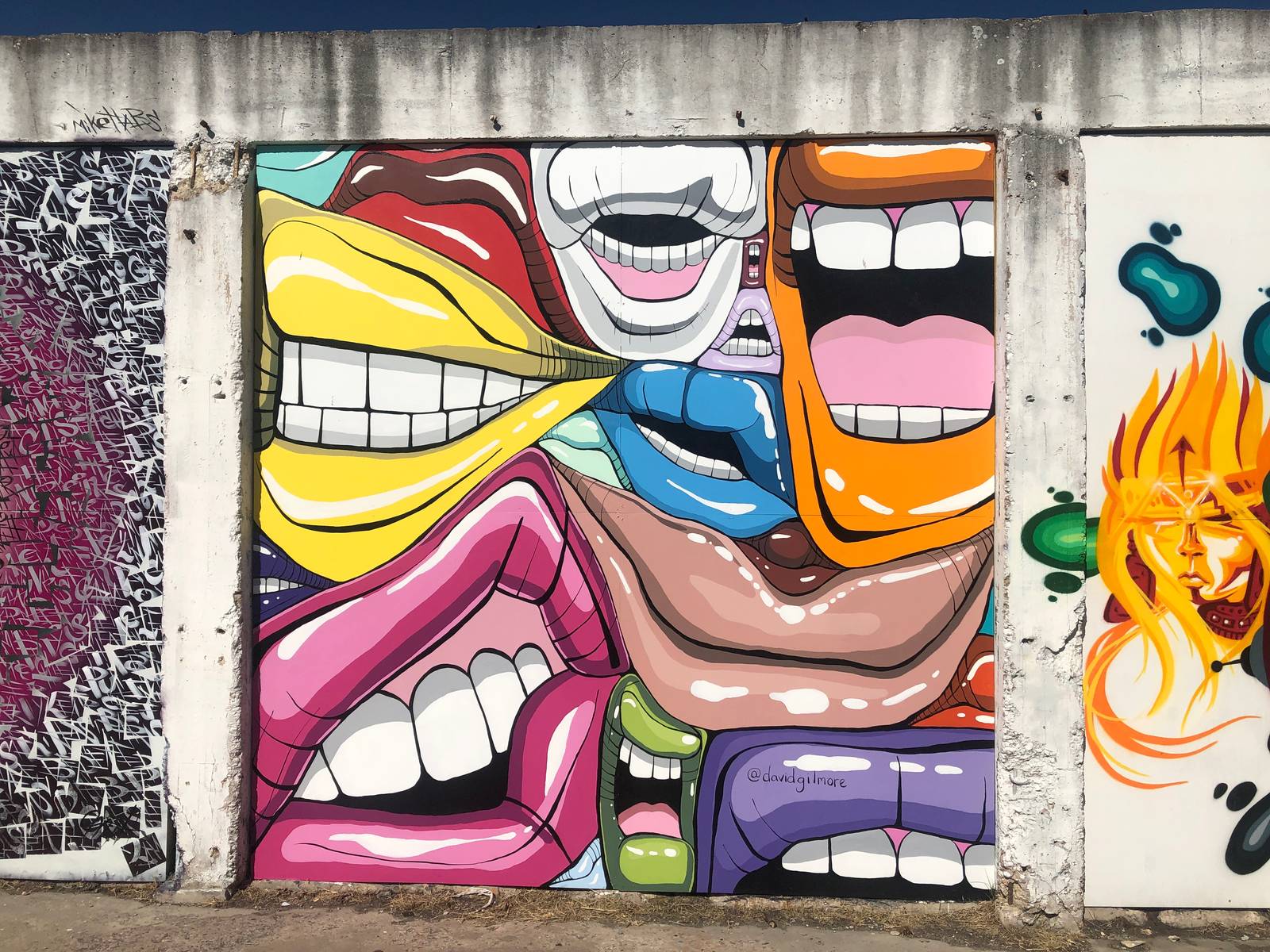 David Gilmore&mdash;Mount Rushmore of Real Housewives lips lovingly painted