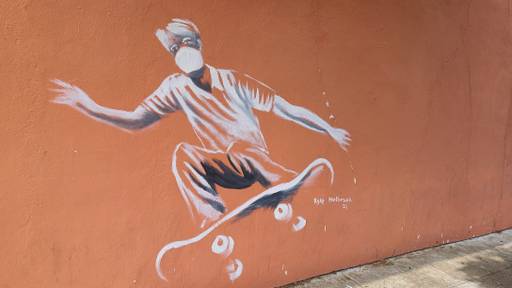 Tony Hawk MASK MURAL