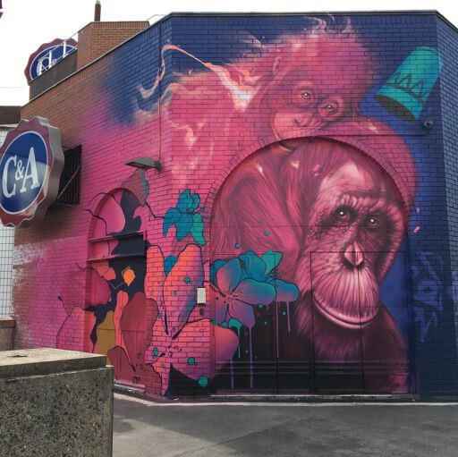 Monkey Love
