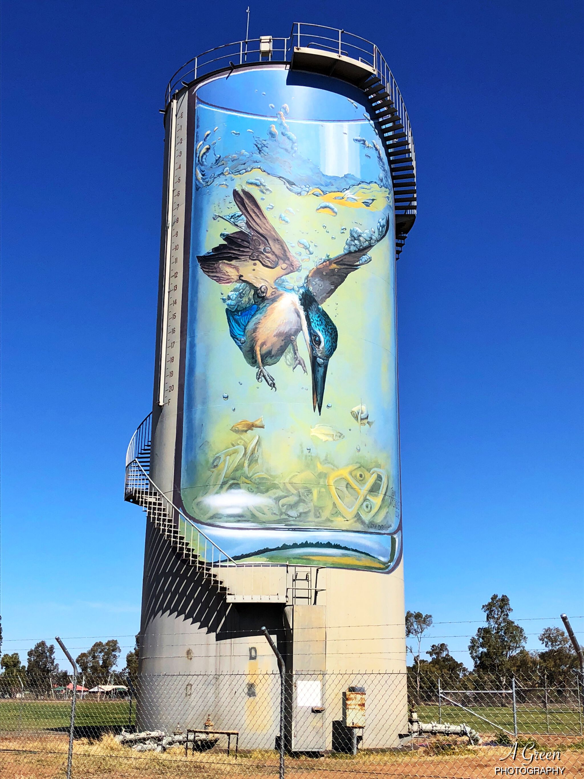 Jenny McCracken&mdash;Gulargambone Water Tower Art
