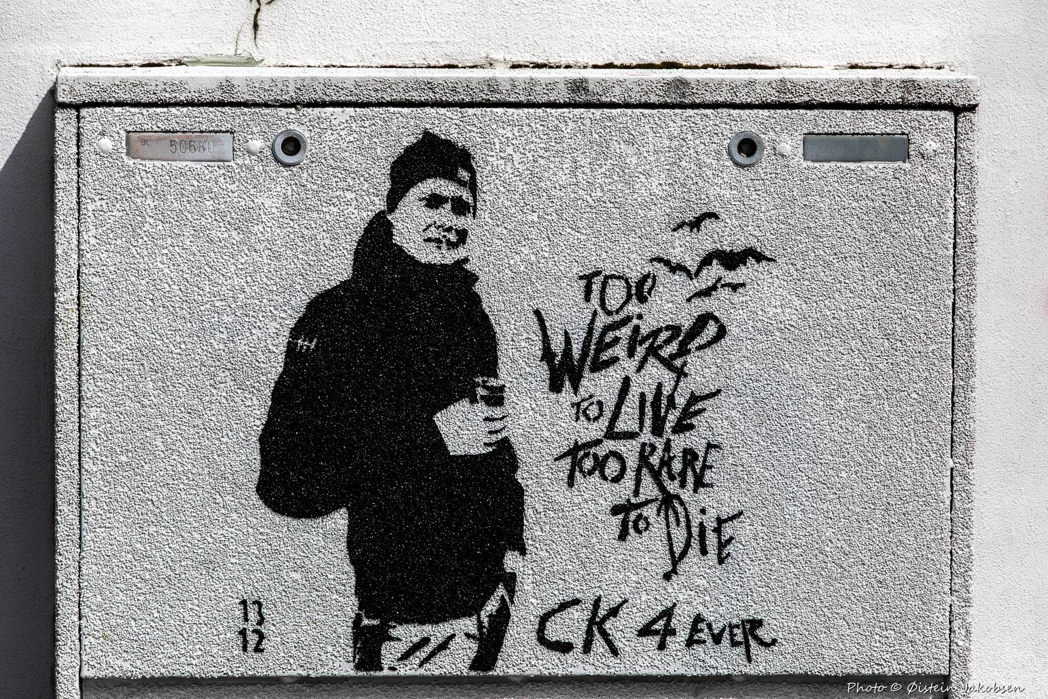 1312&mdash;To Weird to Live