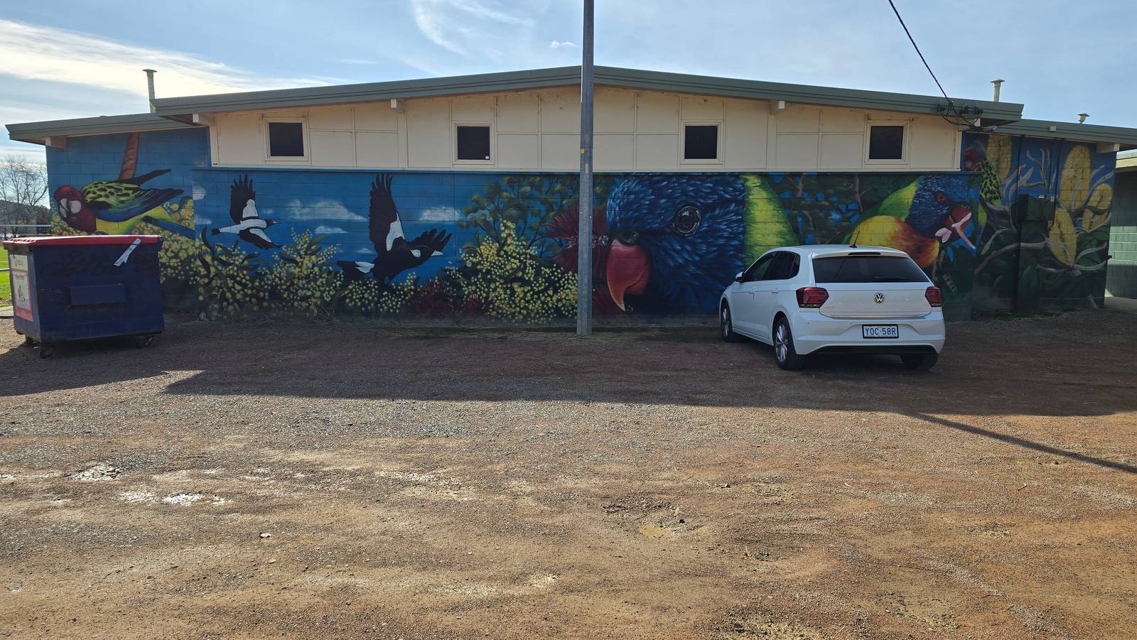 Graffik Paint&mdash;Birds of Canberra