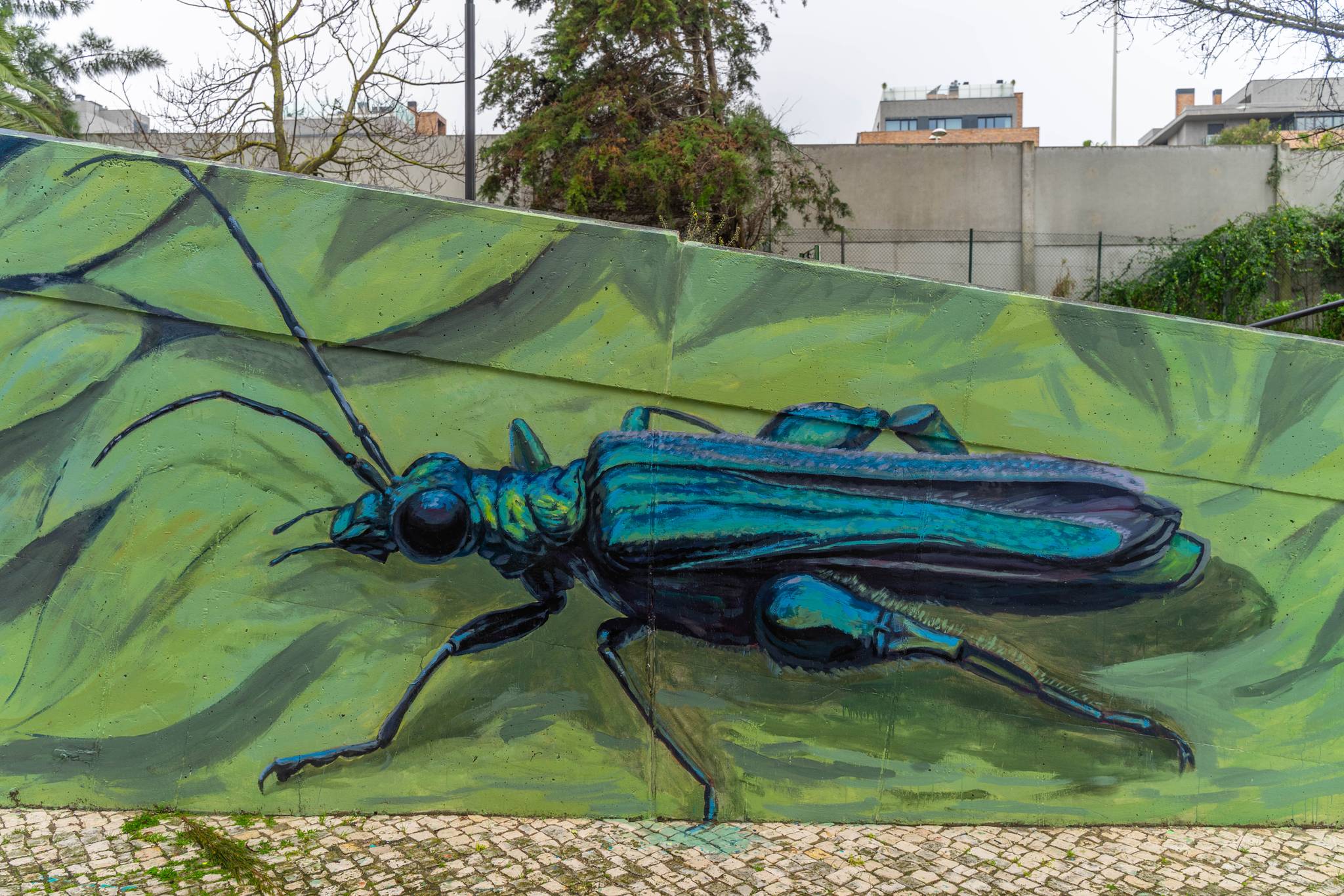 Tiago Hacke&mdash;undefined