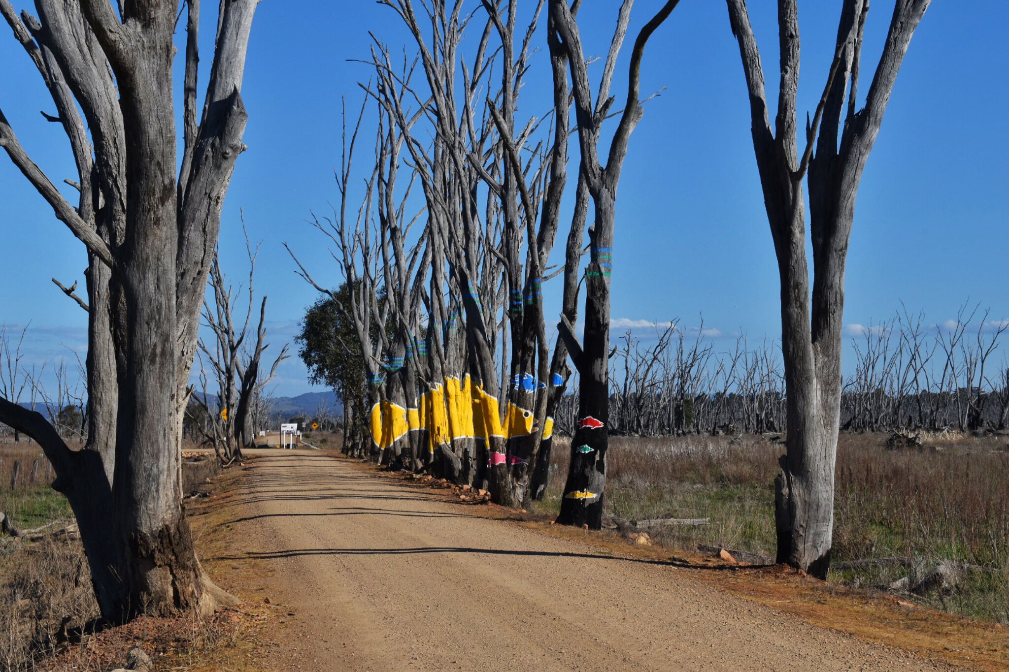 Guido van Helten&mdash;CFA Water Tank - Winton Wetlands