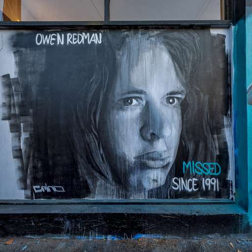 Owen Redman - Missing