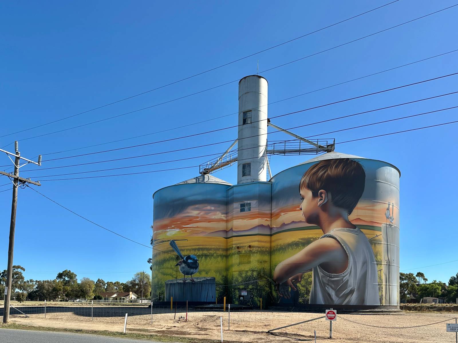 Smug&mdash;Rupanyup Silo Art
