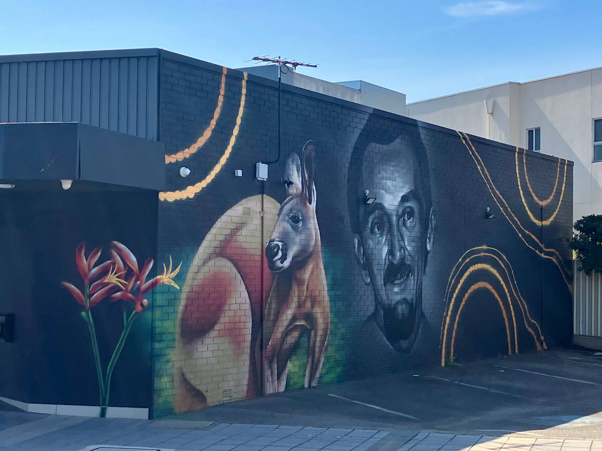 TR Visual Arts, Shane Kooka&mdash;undefined