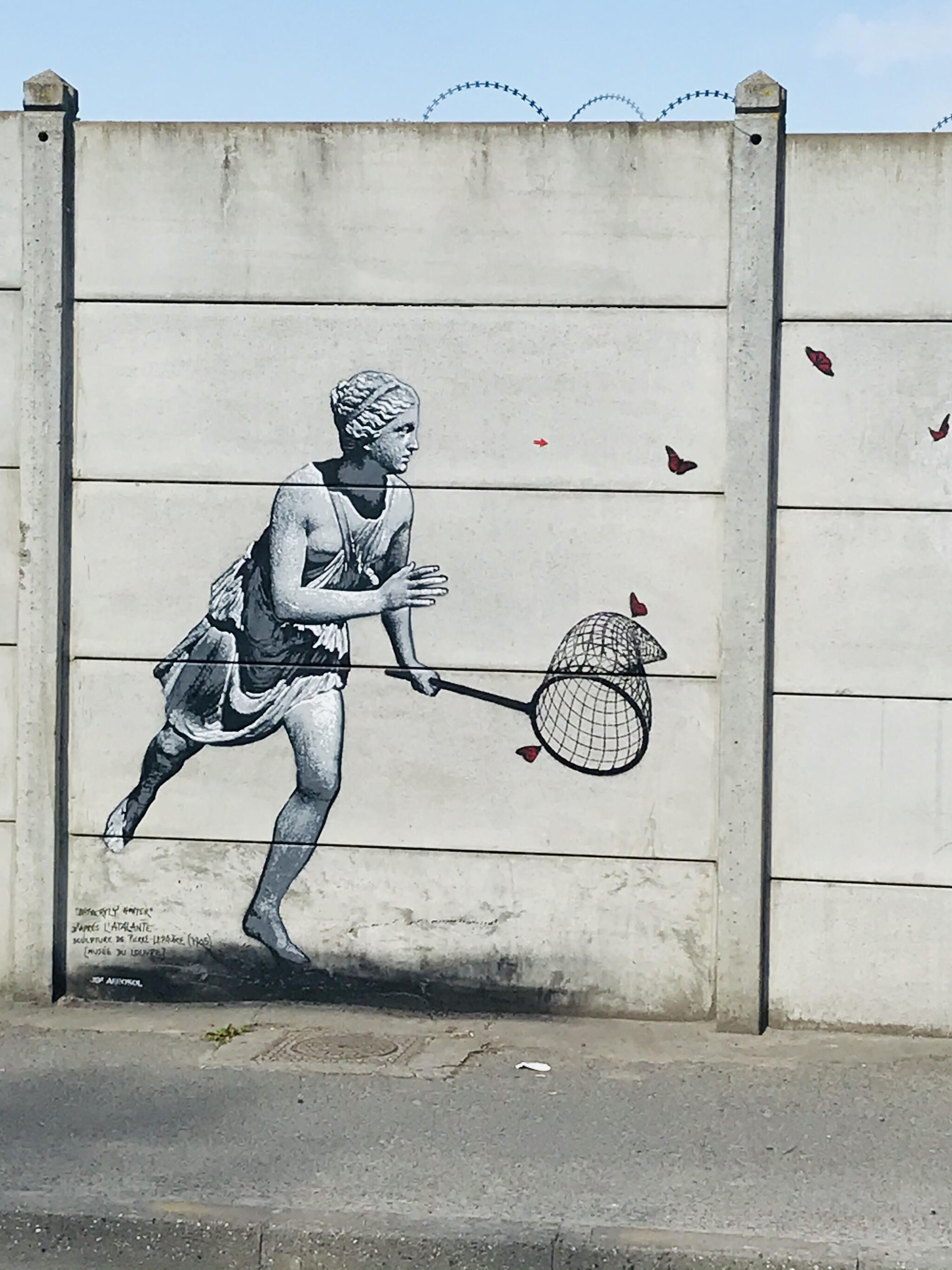 Jef aerosol&mdash;Butterfly Hunter