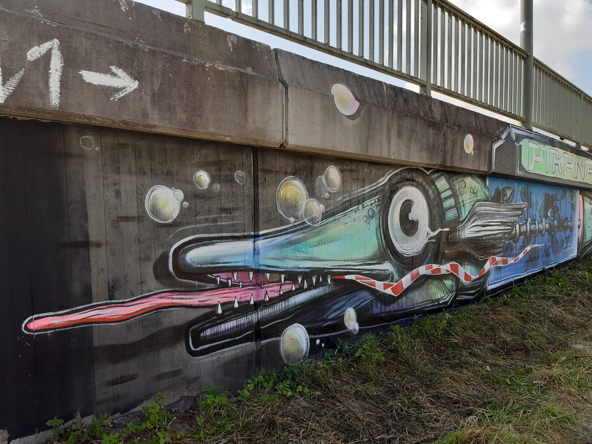 Piranha&mdash;Rocketfish