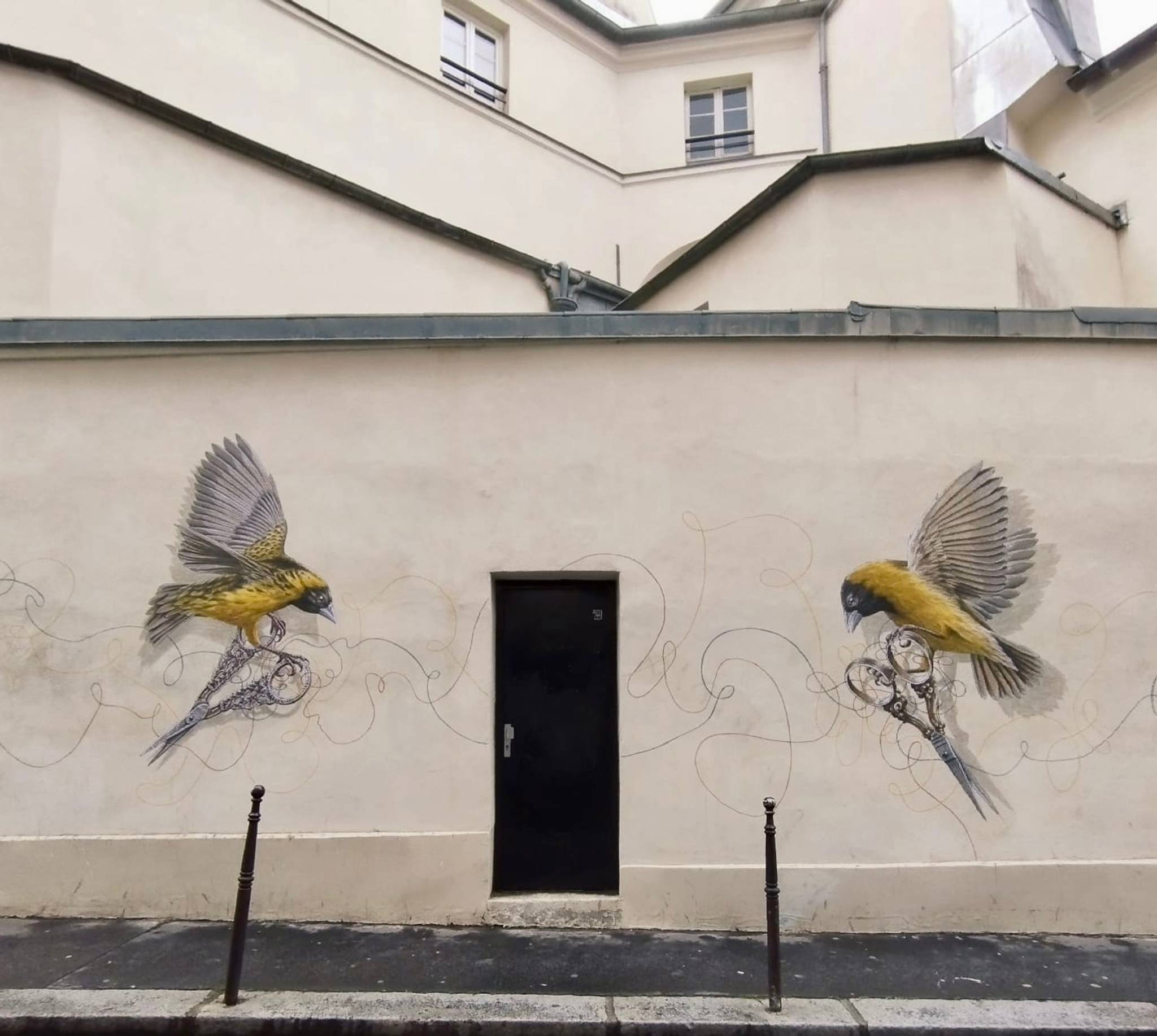 Steeven Salvat&mdash;Les oiseaux couturiers (3)