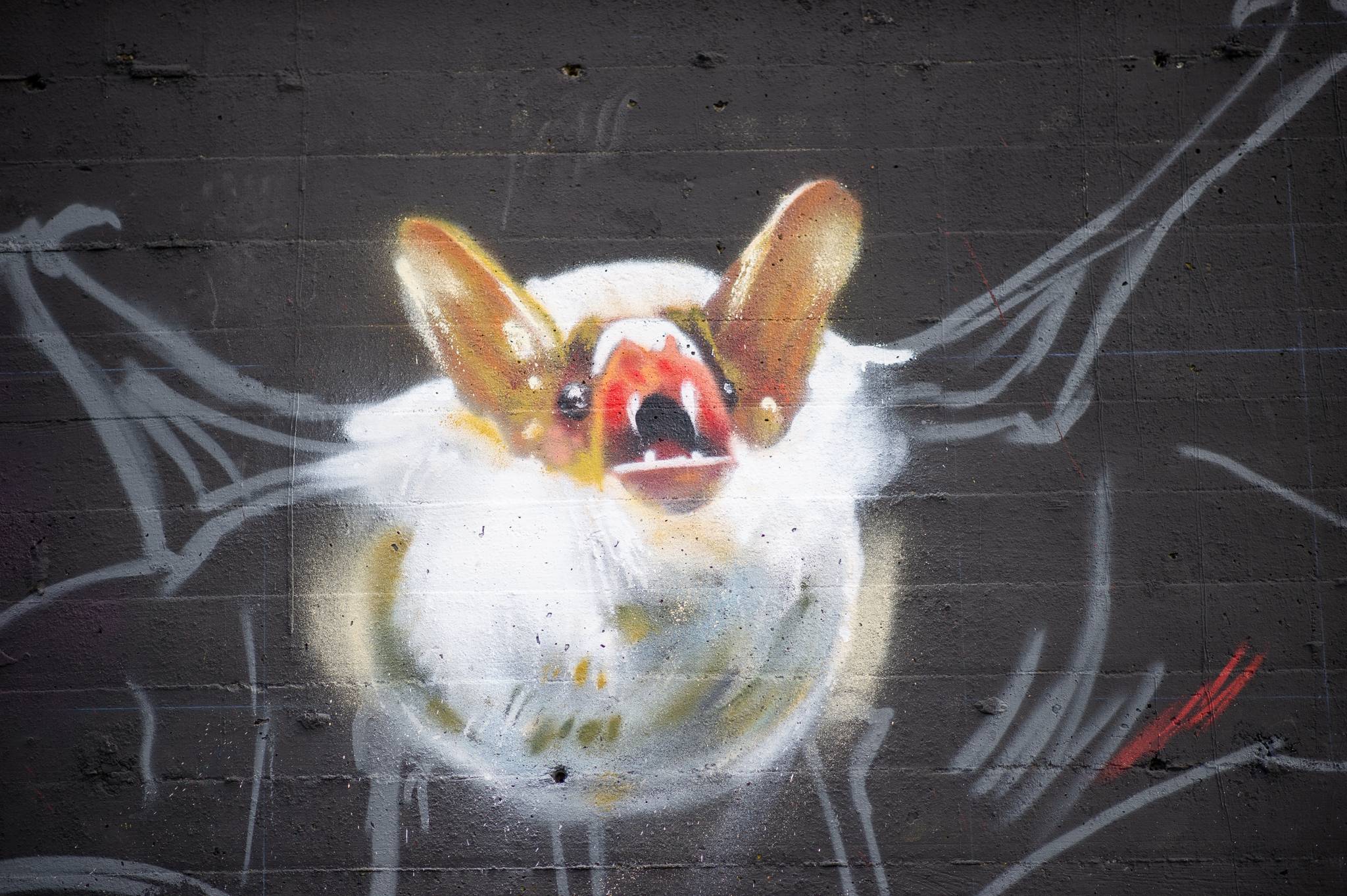 Häcko Crâne&mdash;Vaccine bat