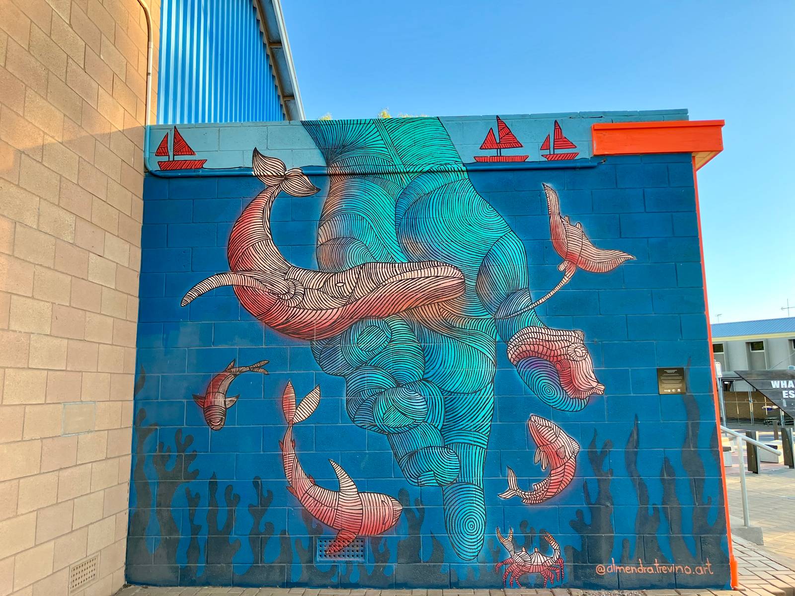 Almendra Trevino&mdash;Ocean Care