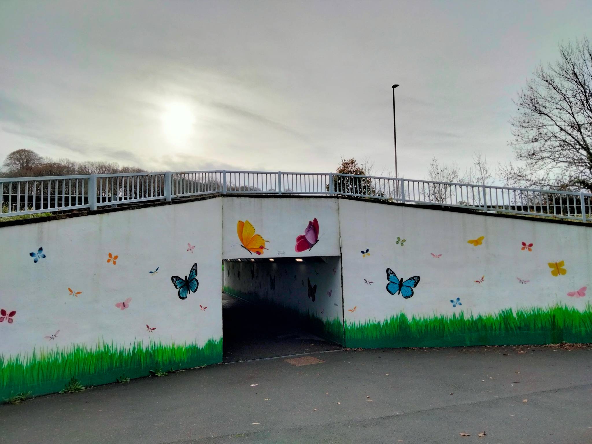 Mrs Murals&mdash;Butterfly Subway
