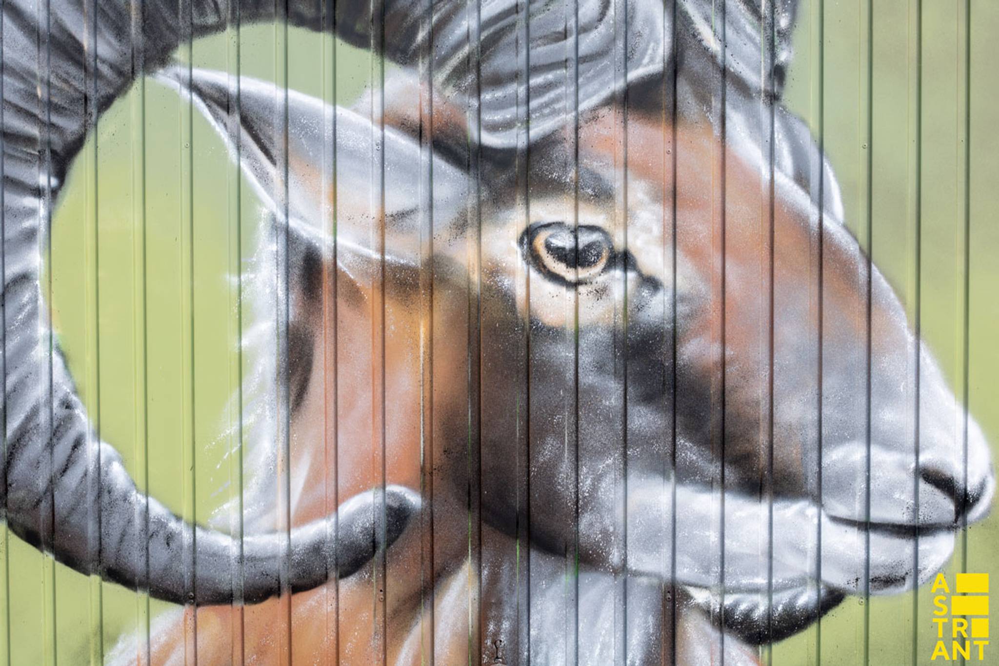 Joost Zwanenburg&mdash;Jagermeester