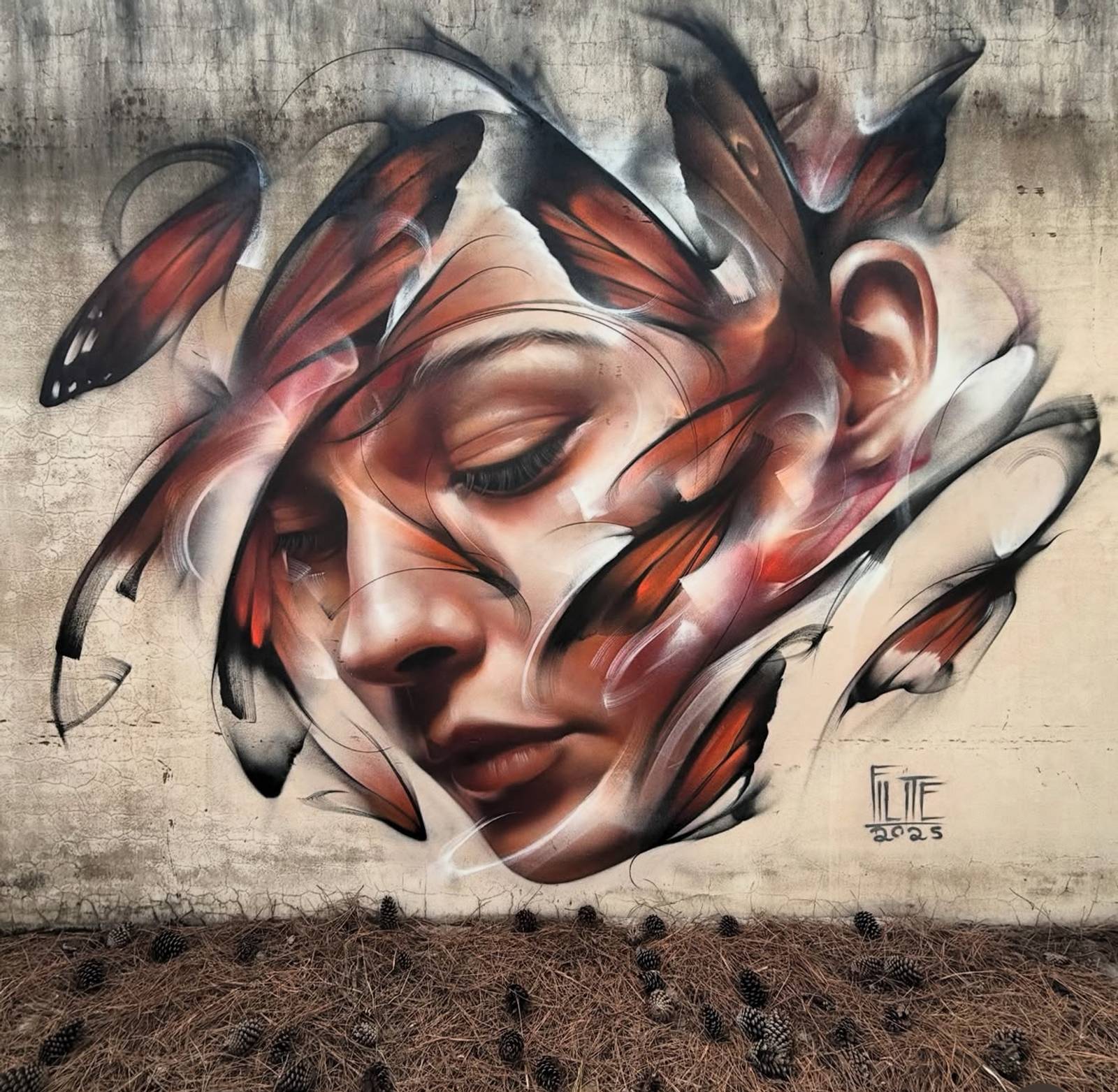 Filite&mdash;Troca de Pele