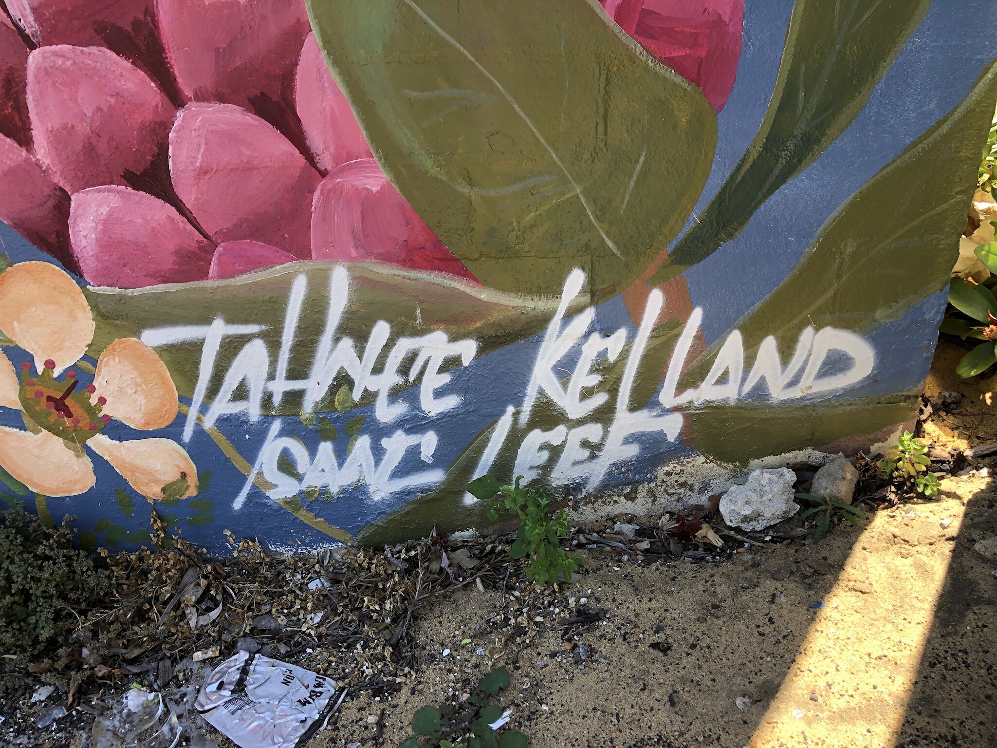 Tahnee Kelland&mdash;Sun and Surf Shopping Centre