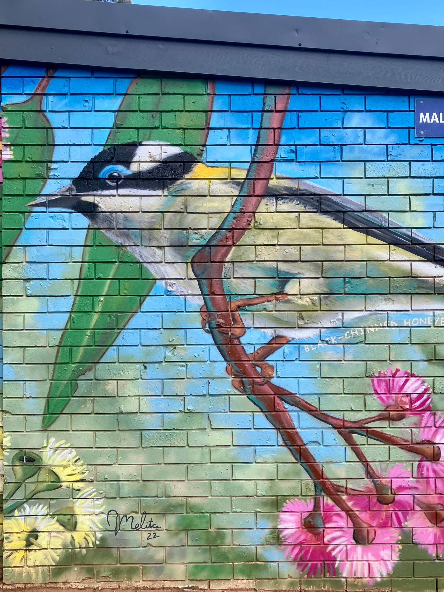 Melita Scott, Keira Scott&mdash;Little Para Wildlife