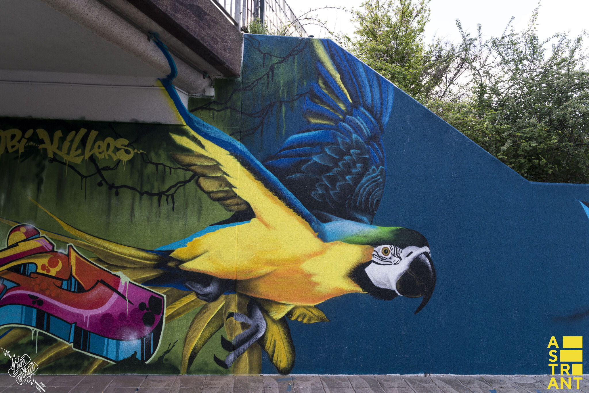 Studio Giftig, Dzia, TCK, Hugo Mulder&mdash;Keesomtunnel