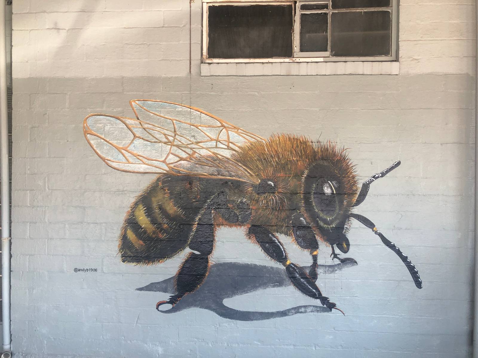 Andy Benavides&mdash;Bee