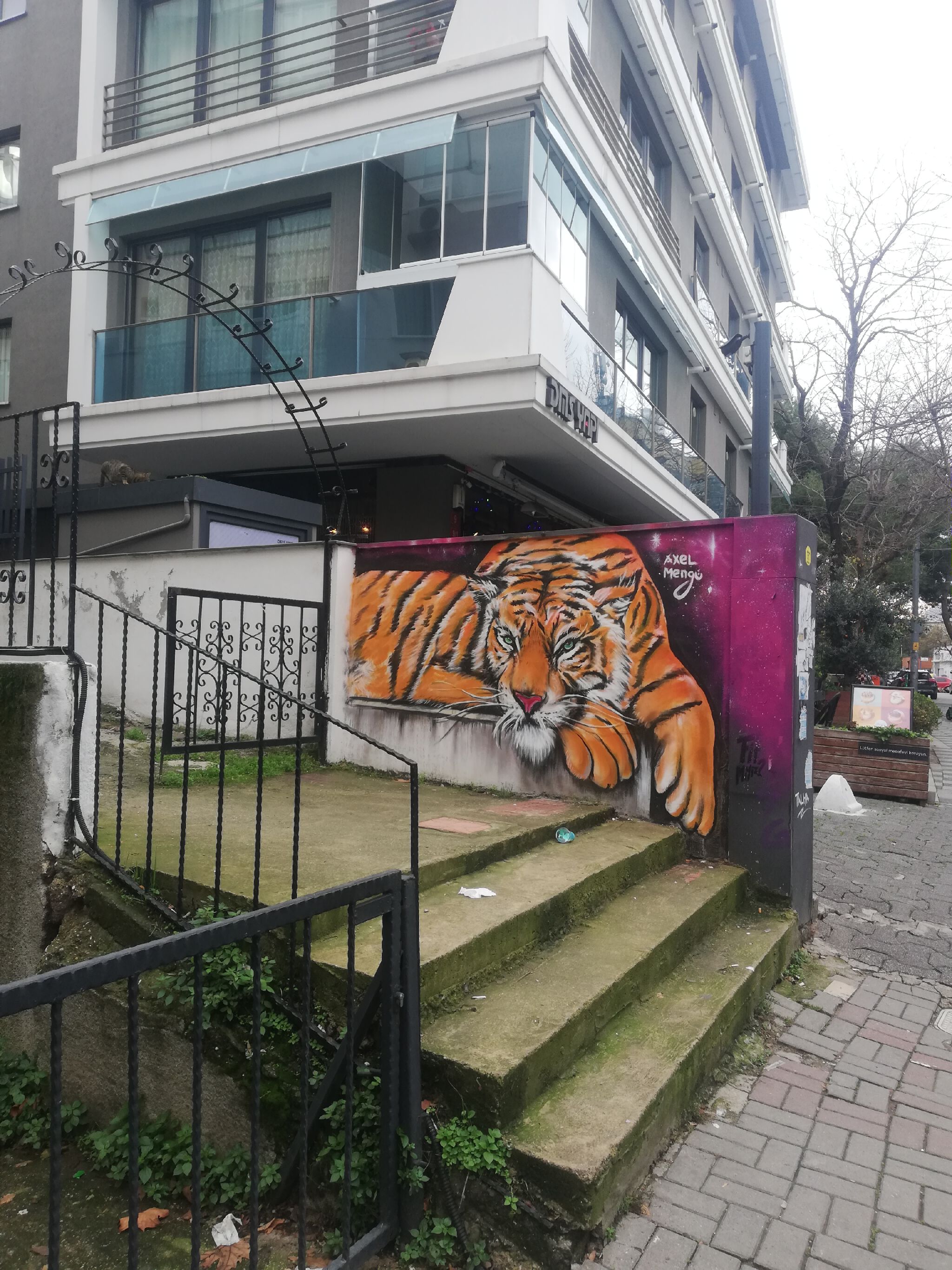 Axel Mengü&mdash;Tiger