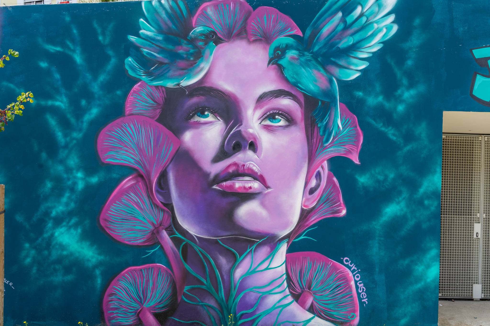 Curiouser&mdash;undefined