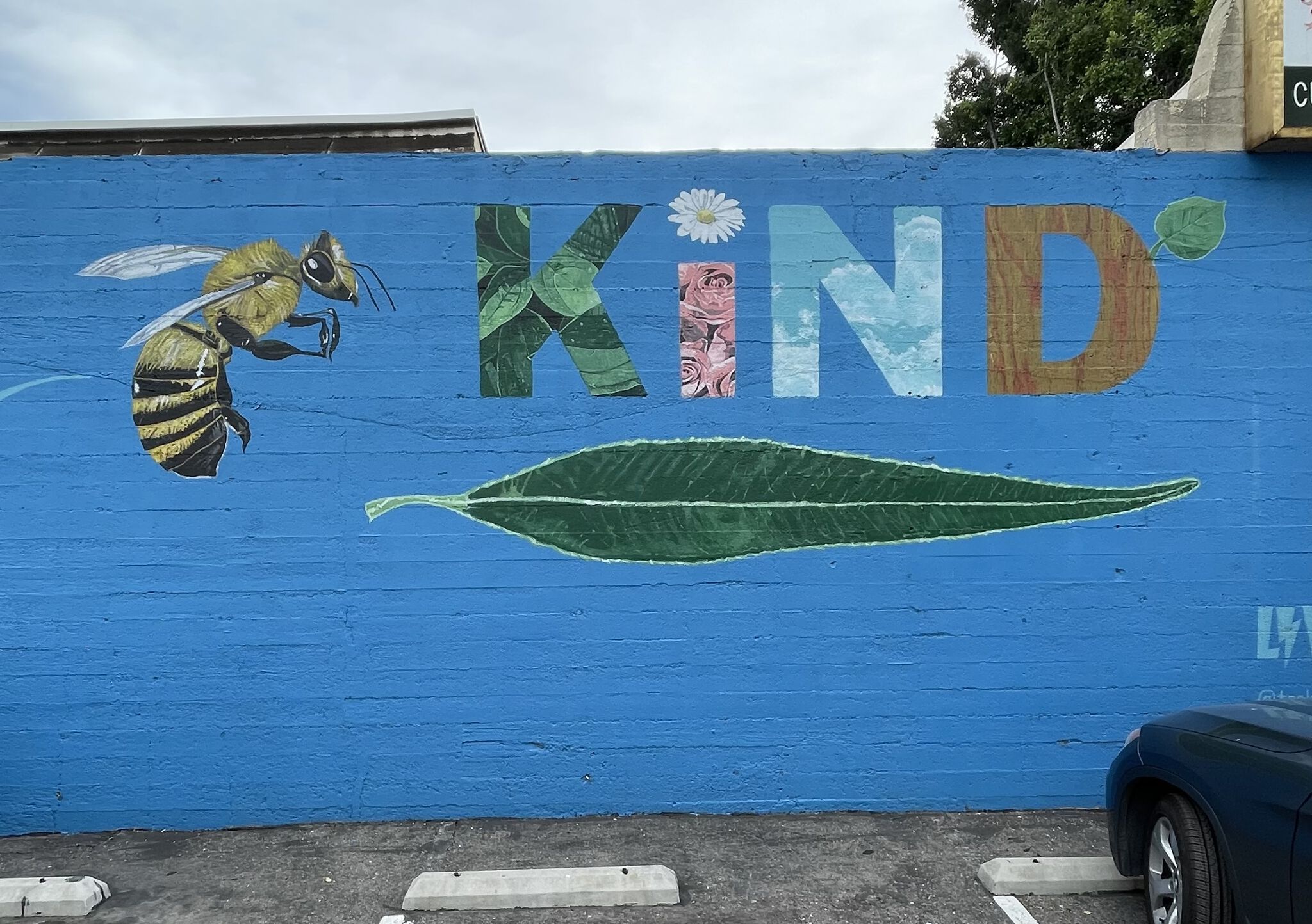 Trek Thunder Kelly&mdash;Bee Kind