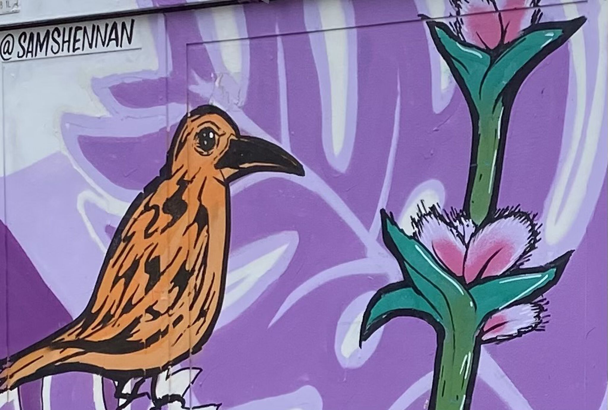 Sam Shennan&mdash;Tour Elentrik - Vroege vogels vangen dikke wormen