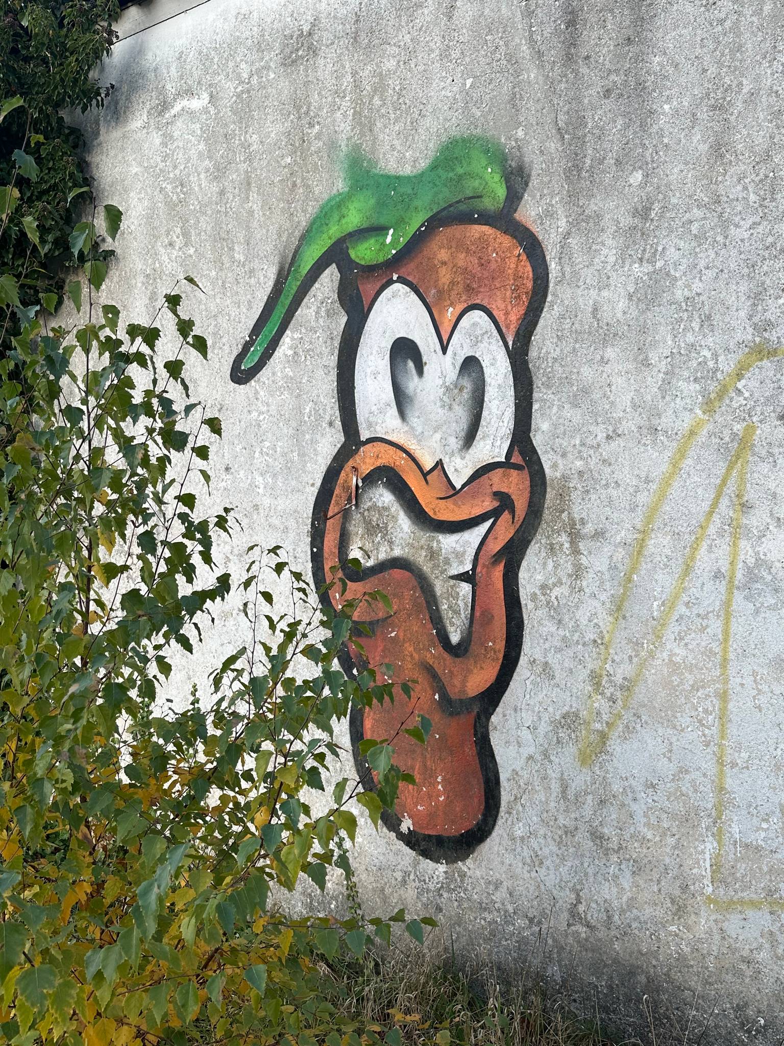 &mdash;Wortel