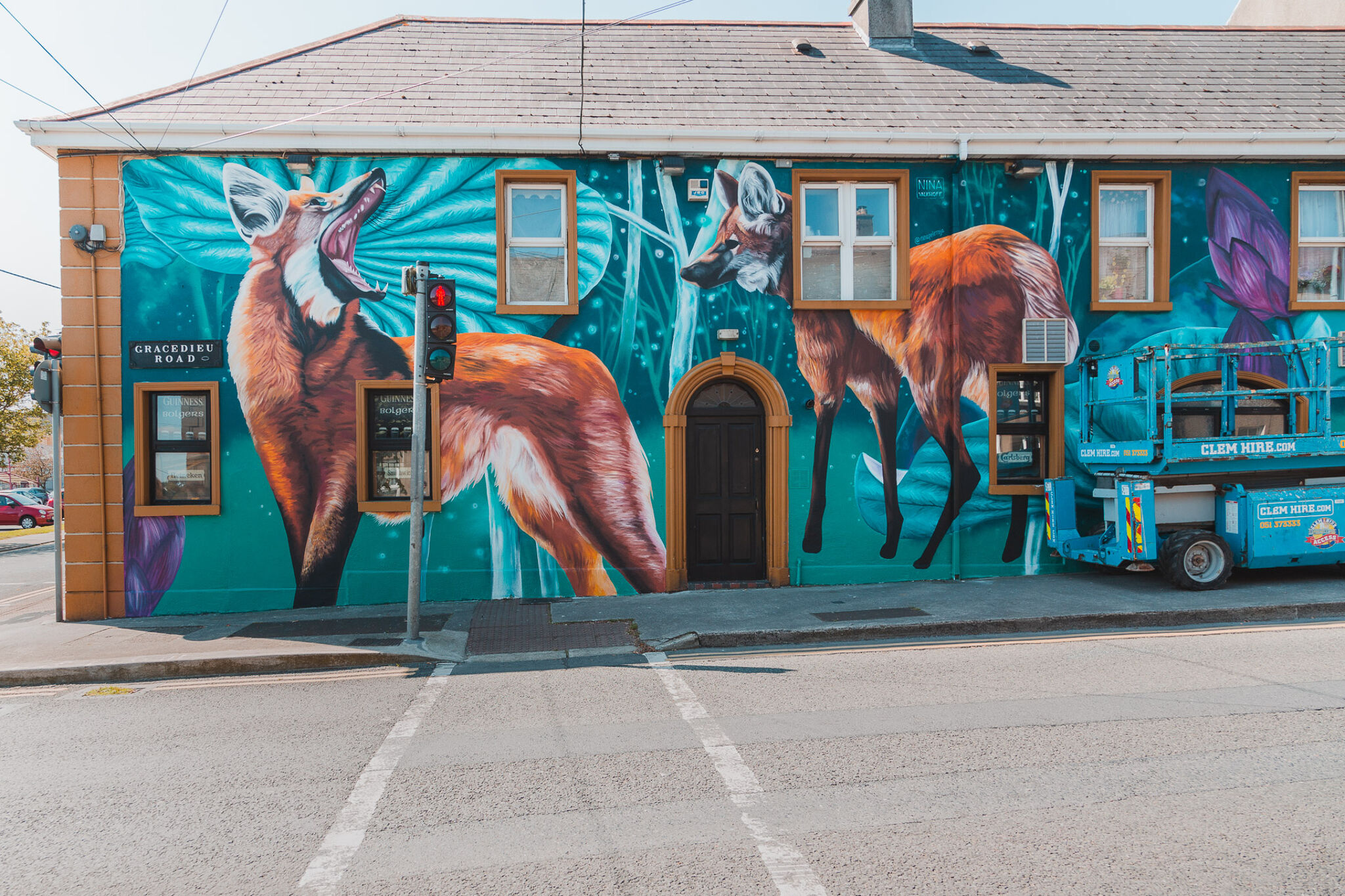 Nina Valkhoff&mdash;Waterford Walls 2019