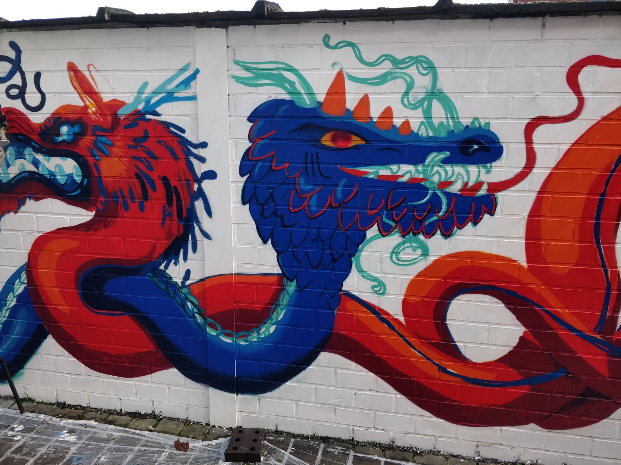 Ems Verhaert, Napam&mdash;Dragon fun