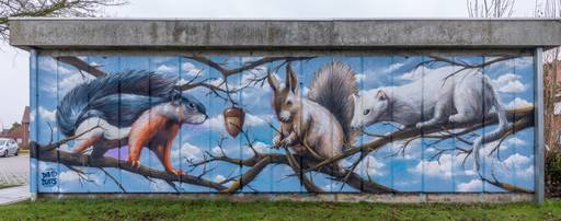 Squirrels