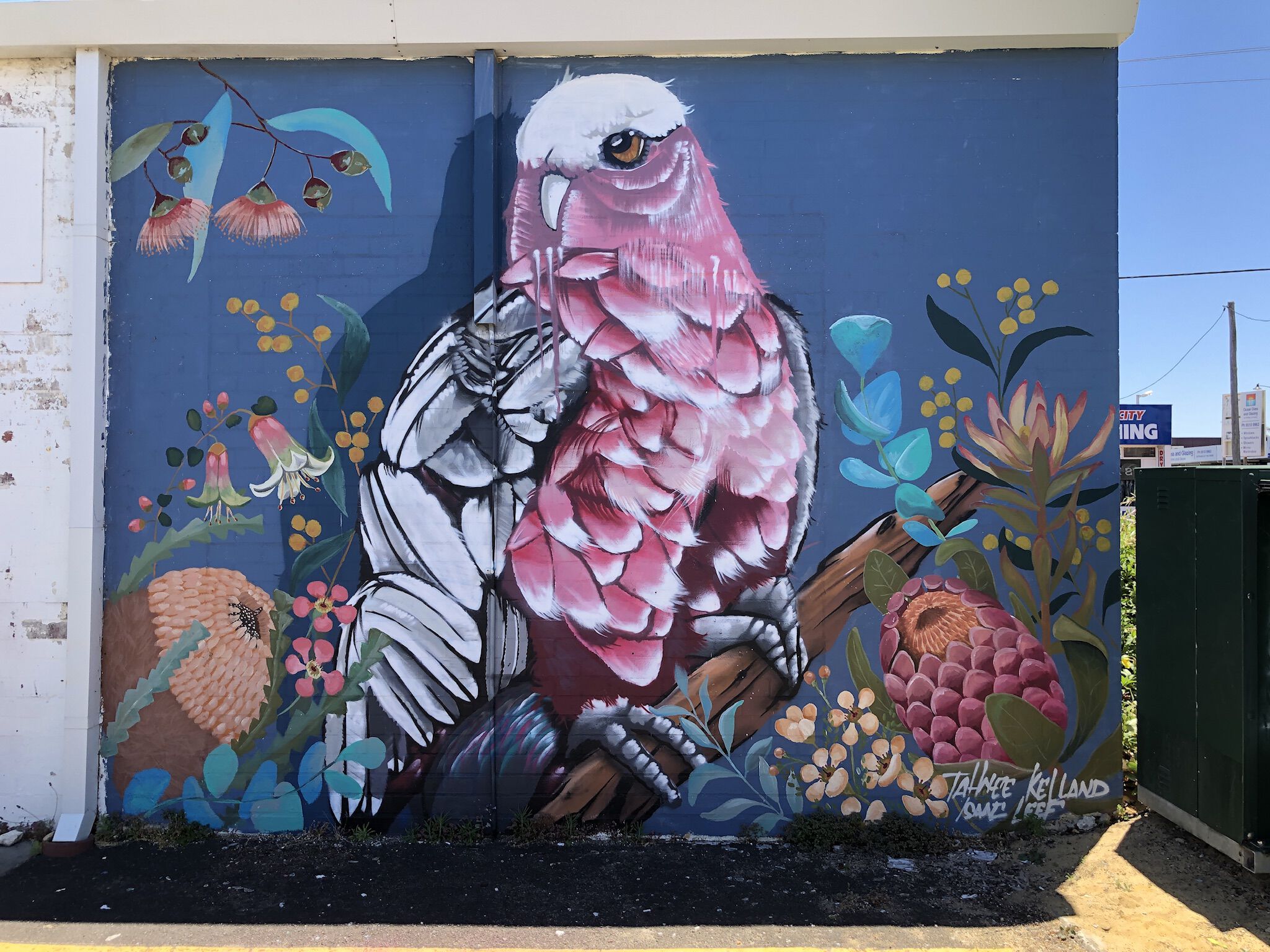 Tahnee Kelland&mdash;Sun and Surf Shopping Centre
