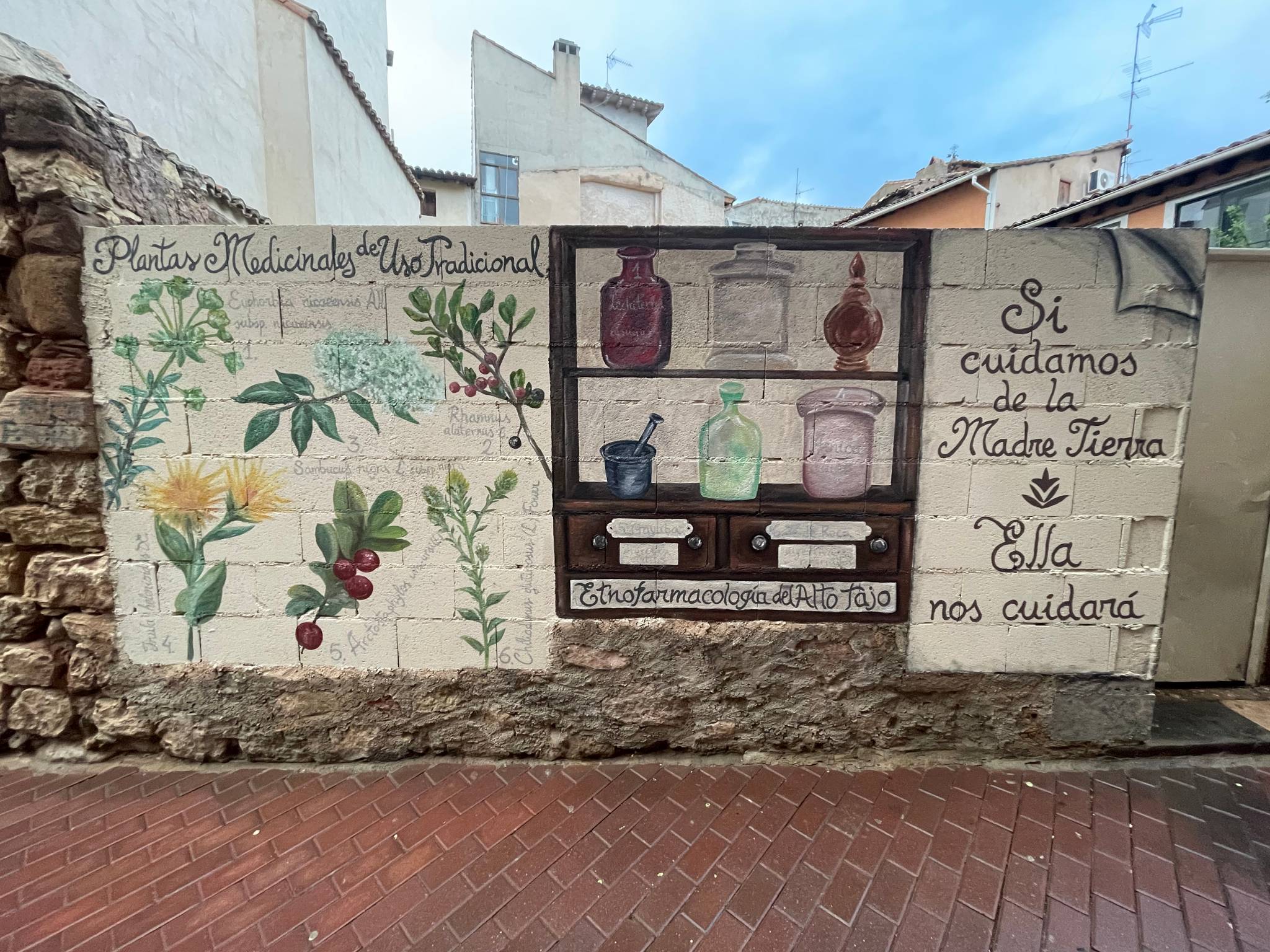 Sirem wild&mdash;undefined