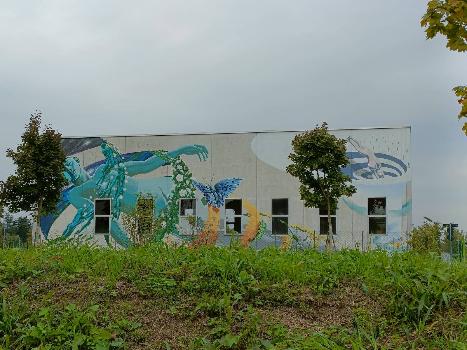 Ale Senso&mdash;Aqva