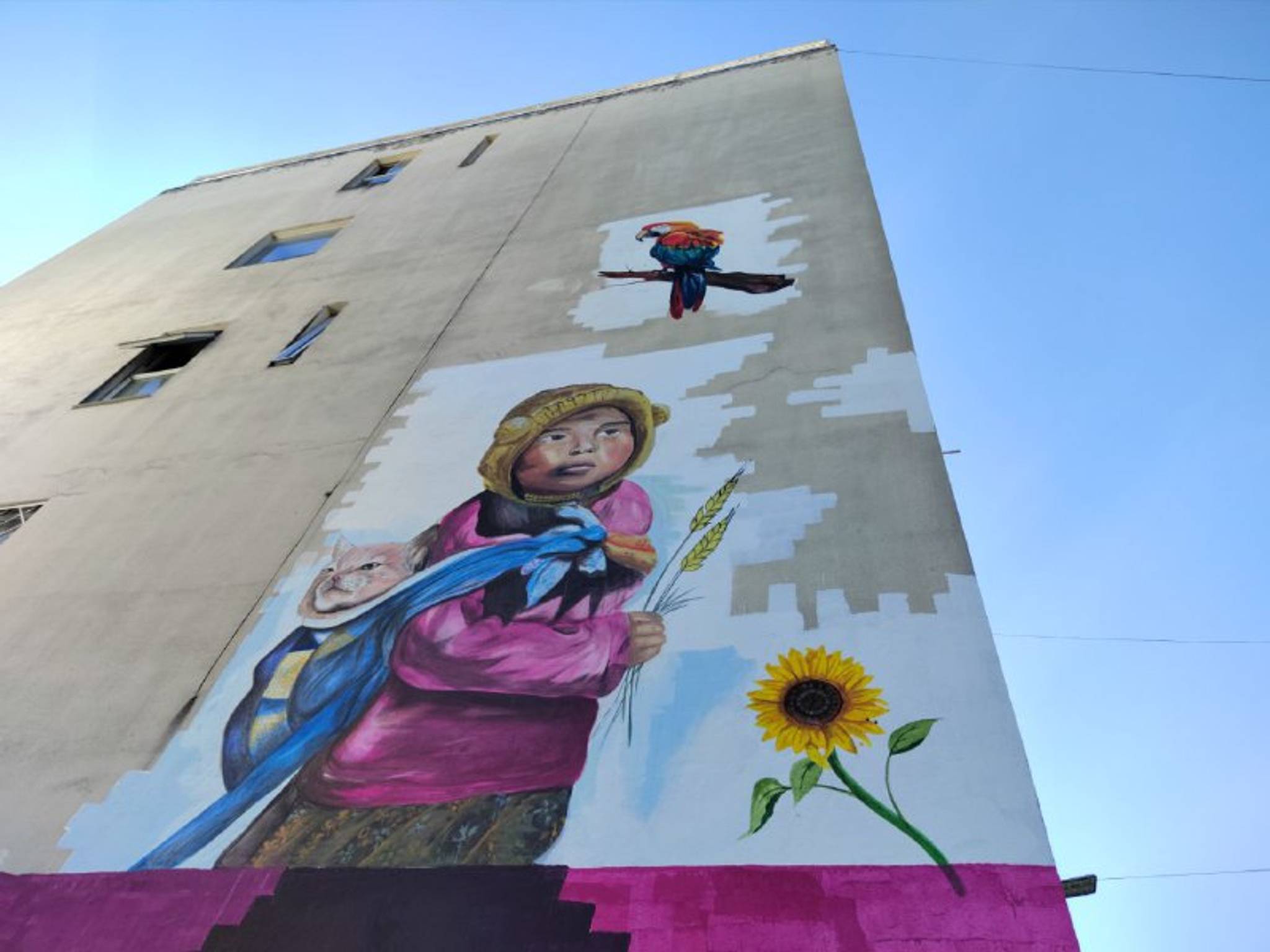 Fobia&mdash;Niño y Gato
