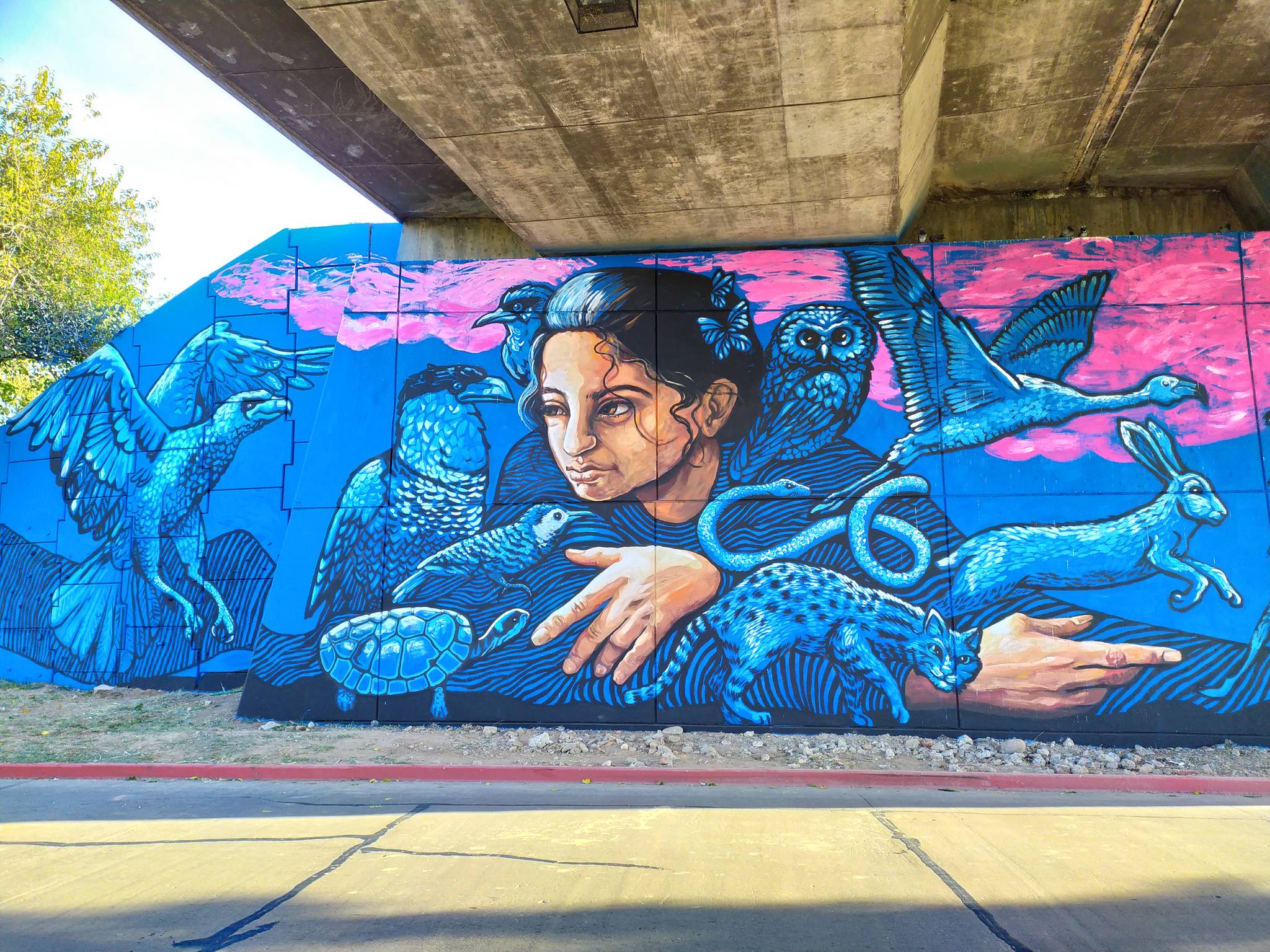 Ariel Ocampo&mdash;La Fauna, en el azul