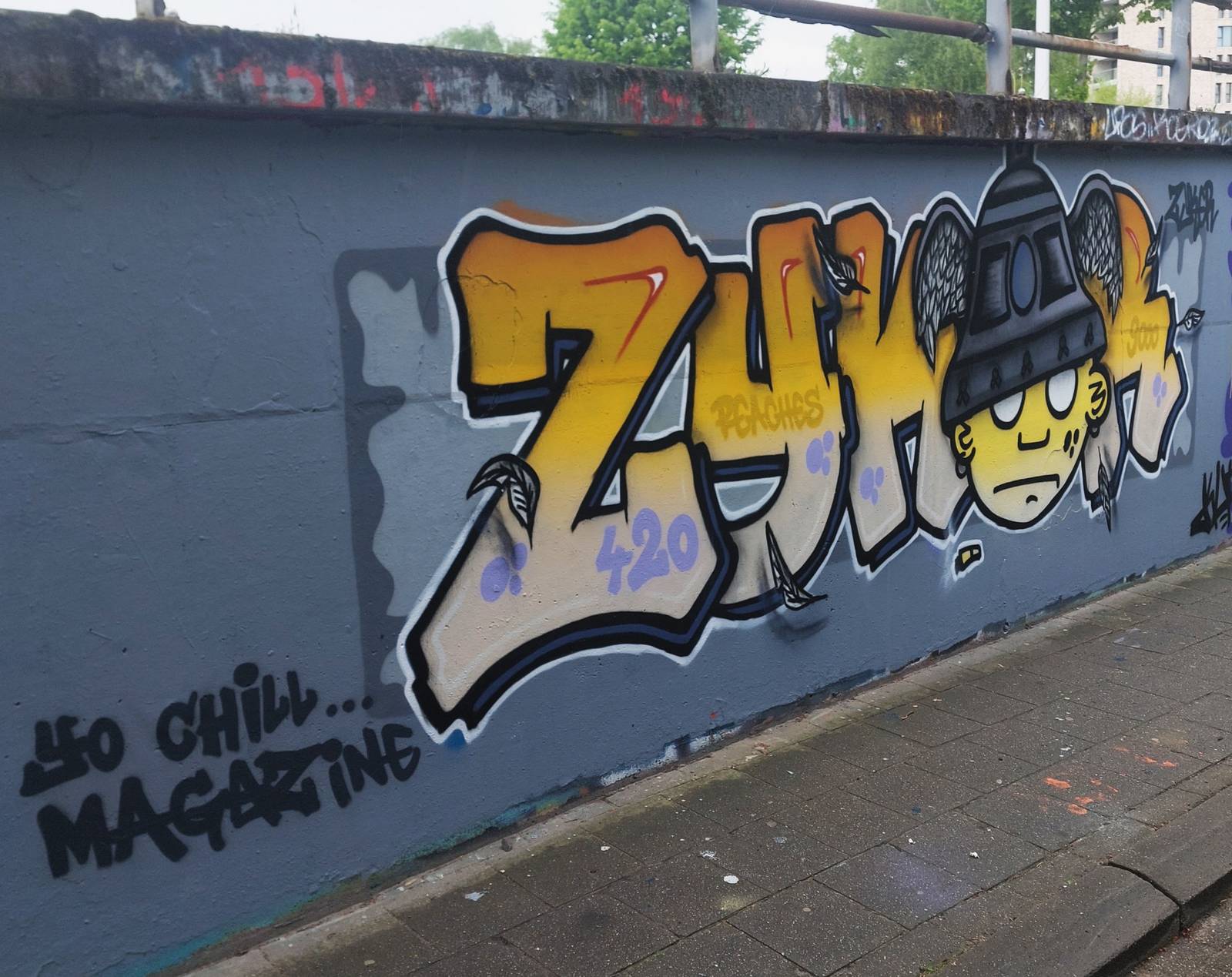 Zyker&mdash;undefined