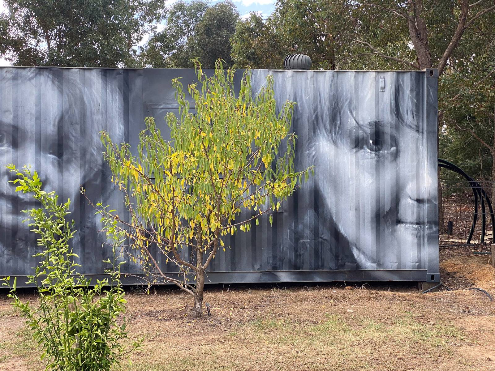 Kyle Torney&mdash;Garden of Growth