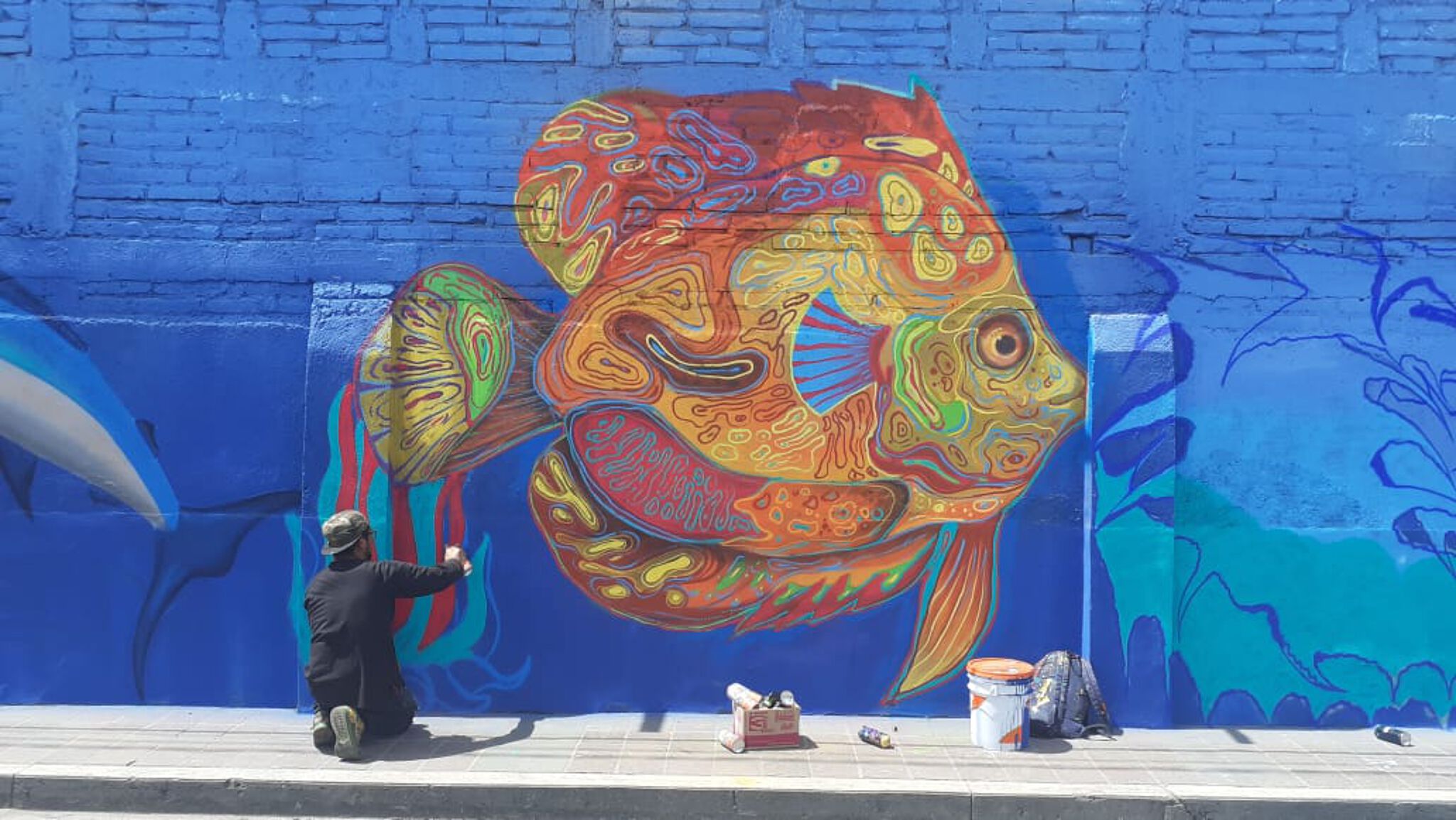 Jhard, Crook, Moy, Moustruo, Push, Ante, Brote, Asme&mdash;Sea Life
