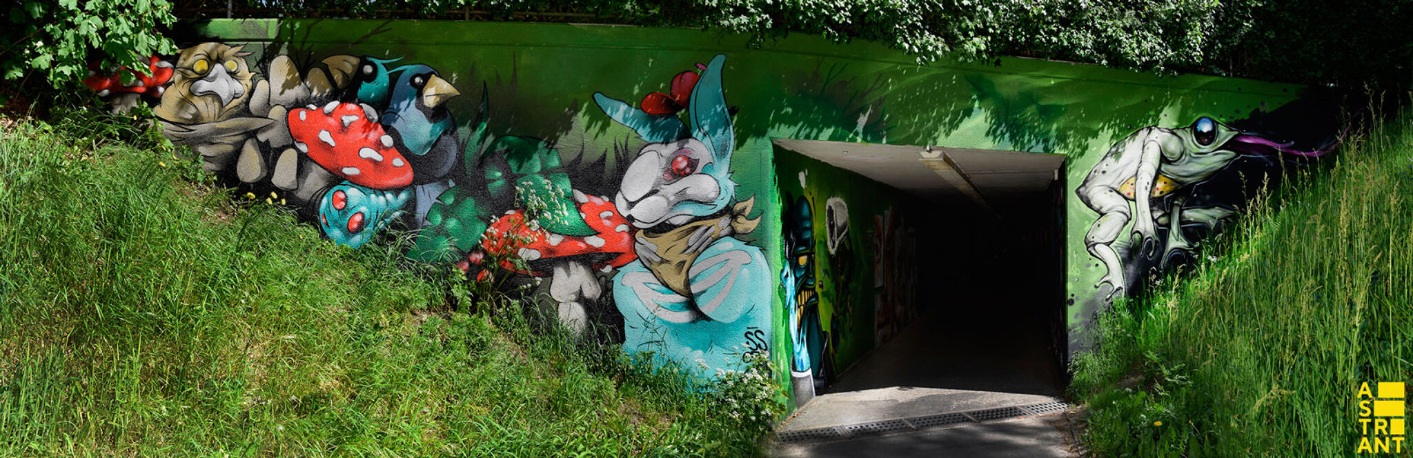 Sapo, Nash, TCK, Ives One, Trendkill Stencils&mdash;Bospoorttunnel