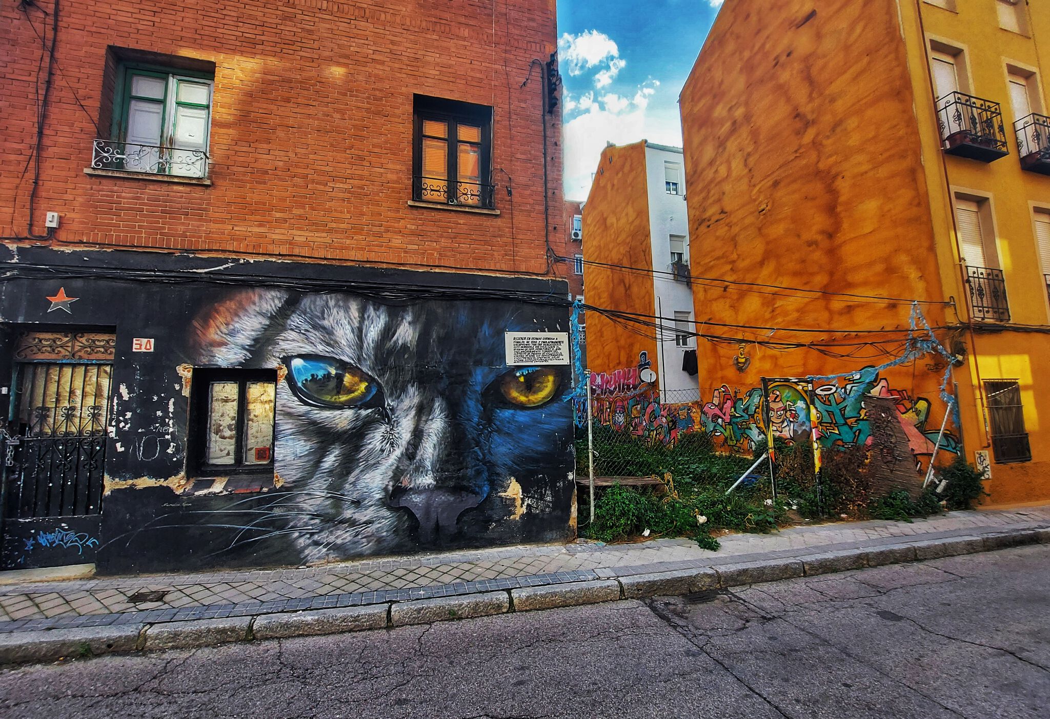 Murales Lian&mdash;Gato