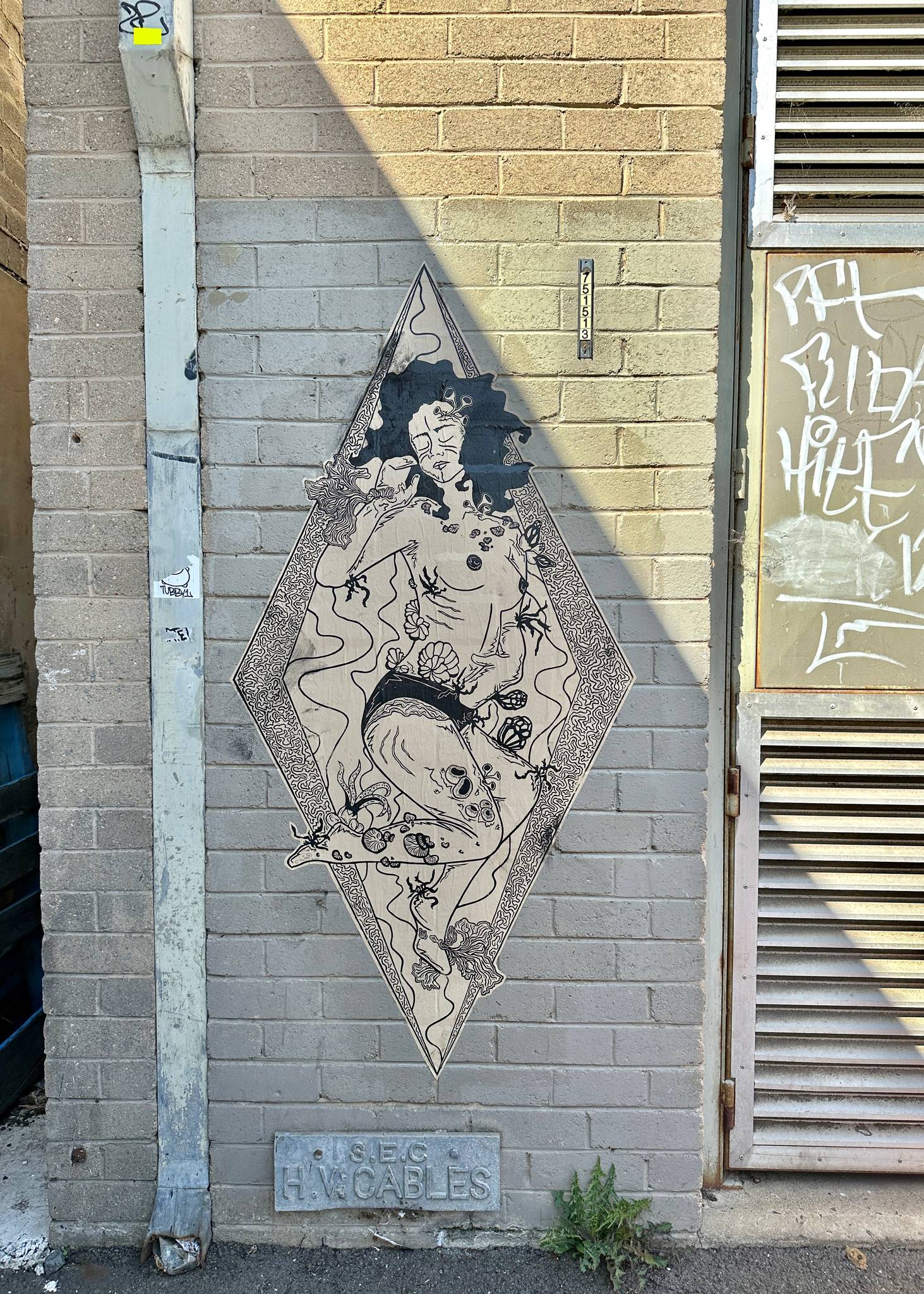 Suki&mdash;undefined
