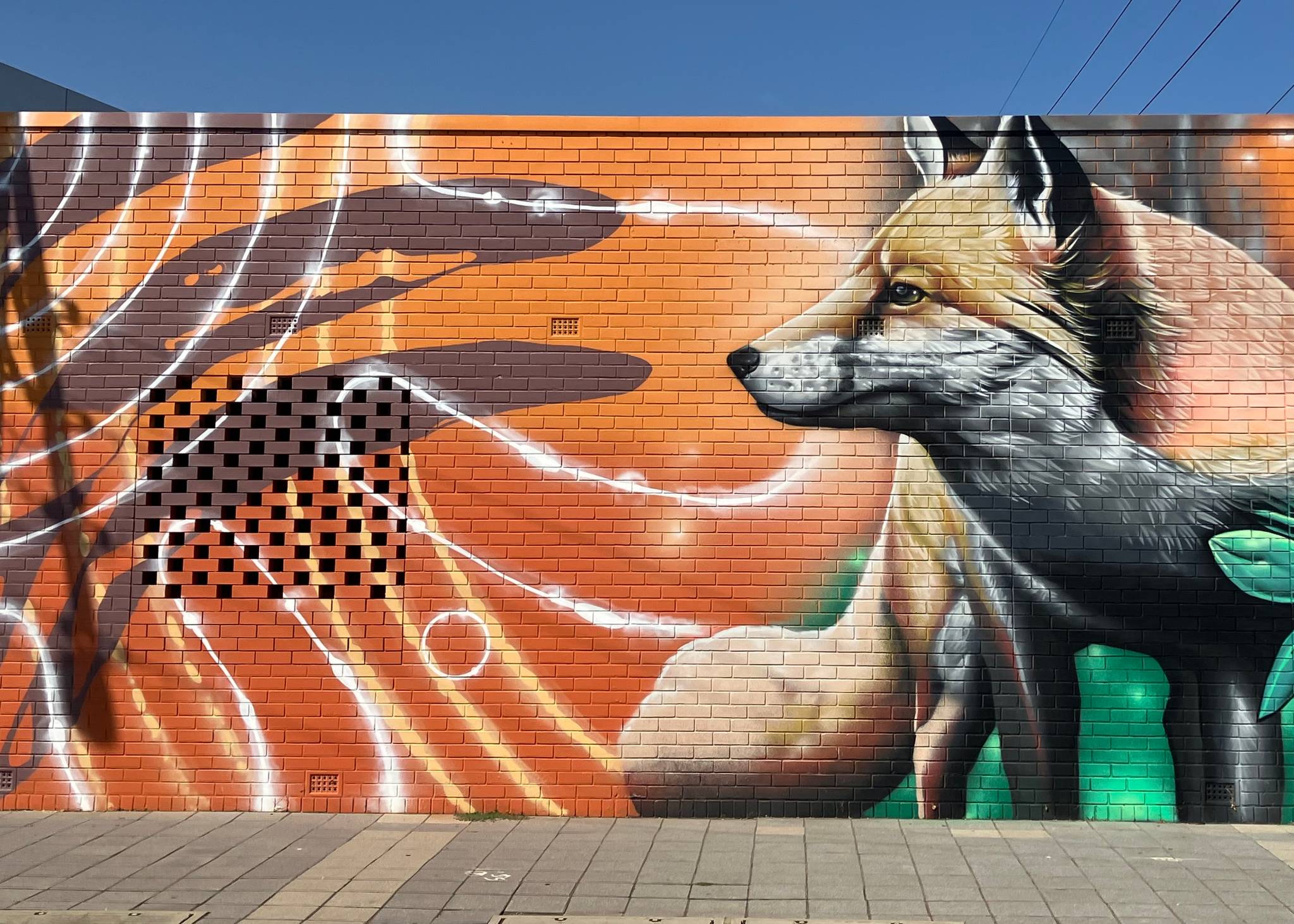 TR Visual Arts, Shane Kooka&mdash;undefined