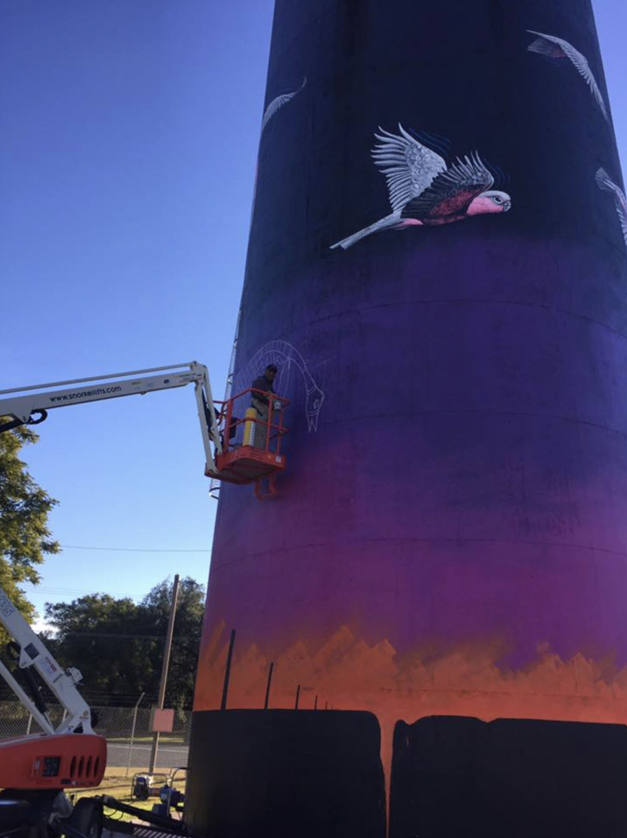 John Murray, Sooty Welsh&mdash;Coonamble Water Tower