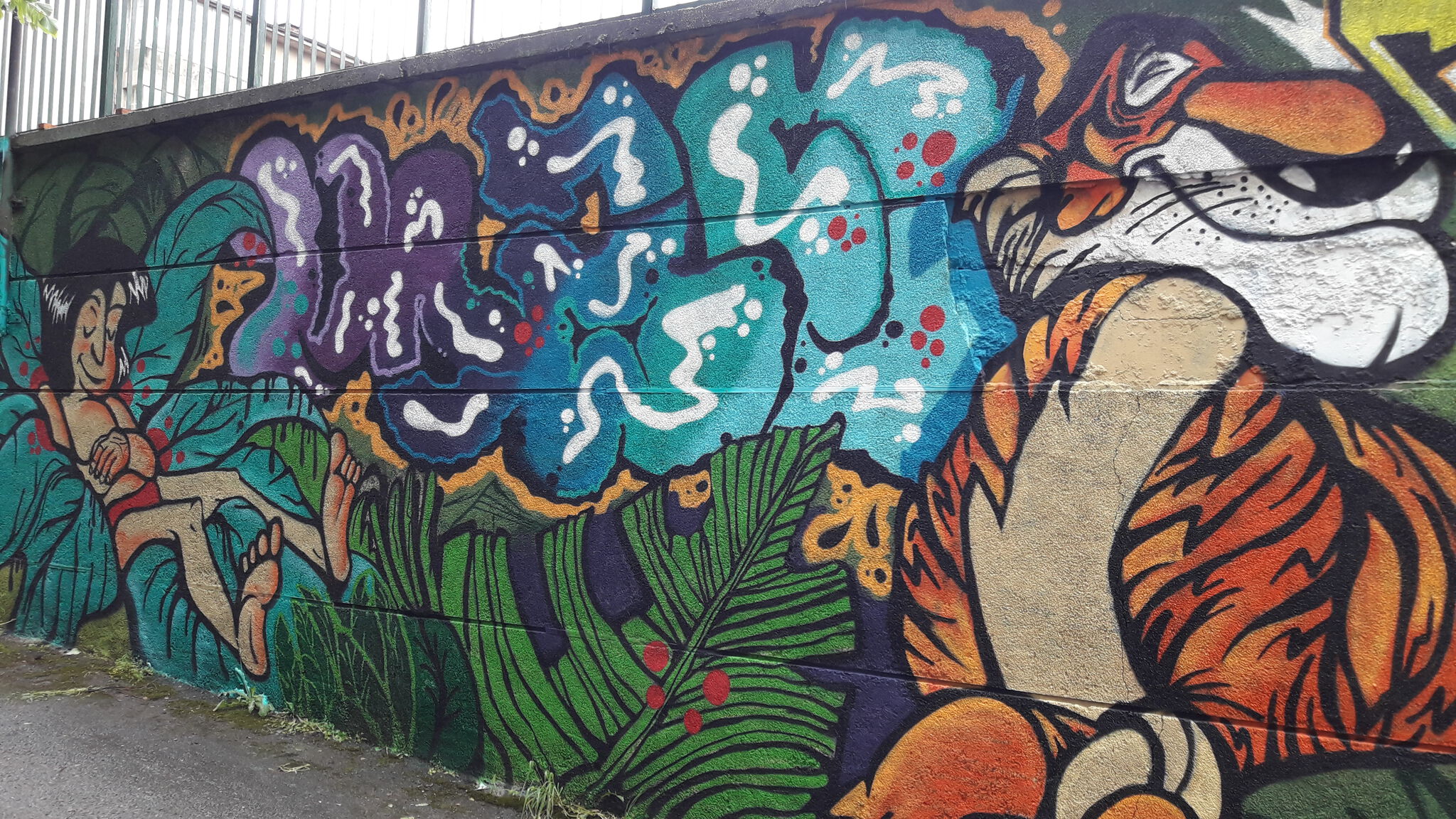 Rays, Poze, Konte, Akes&mdash;Sofia Jungle
