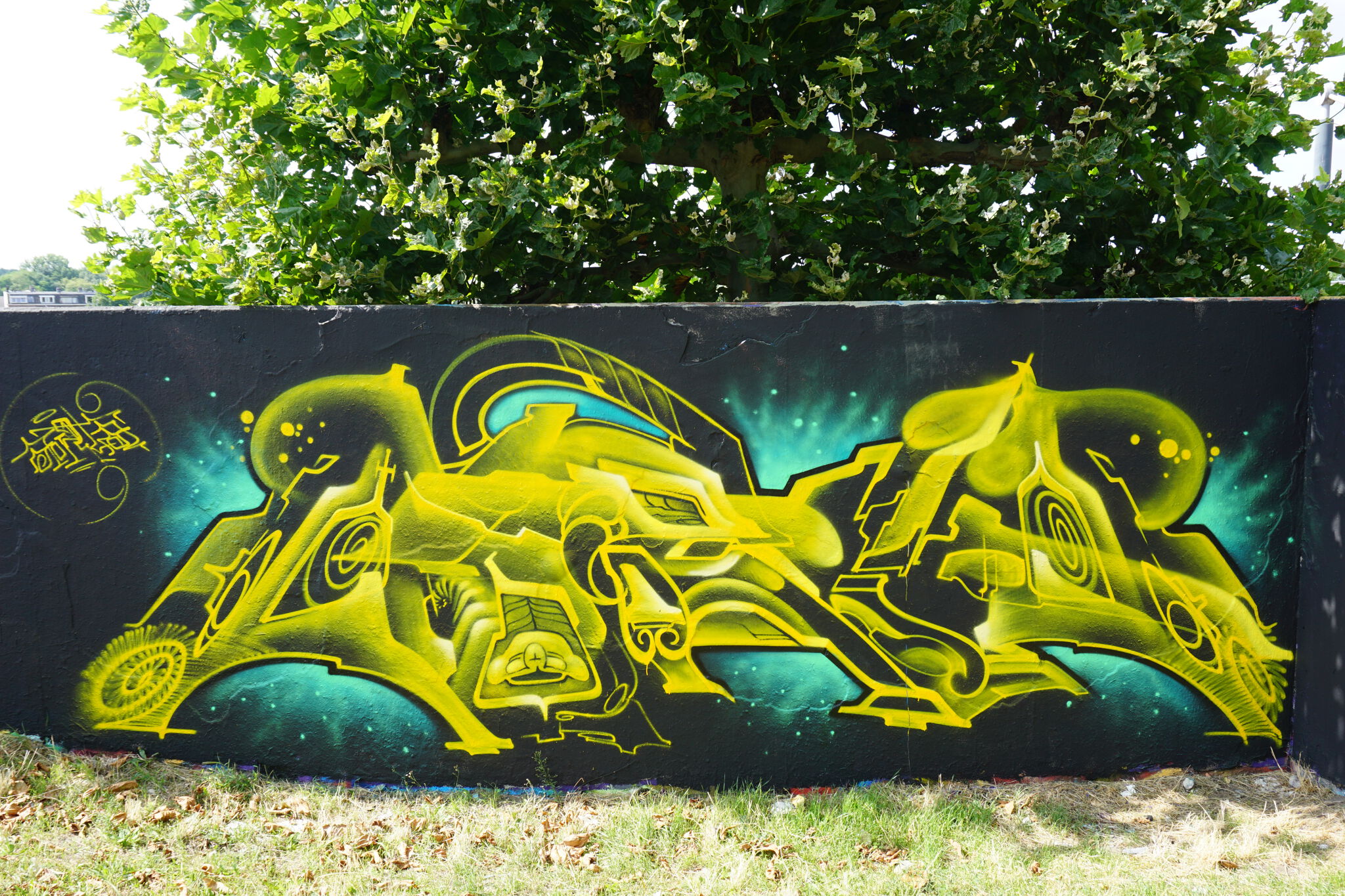 Aorta&mdash;Aorta