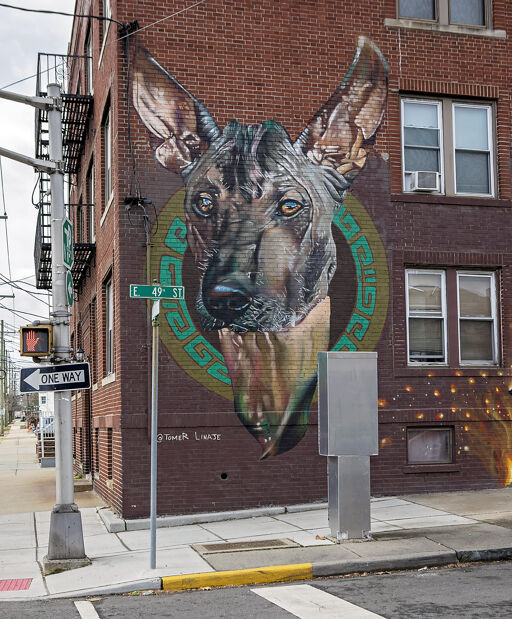 Xolo