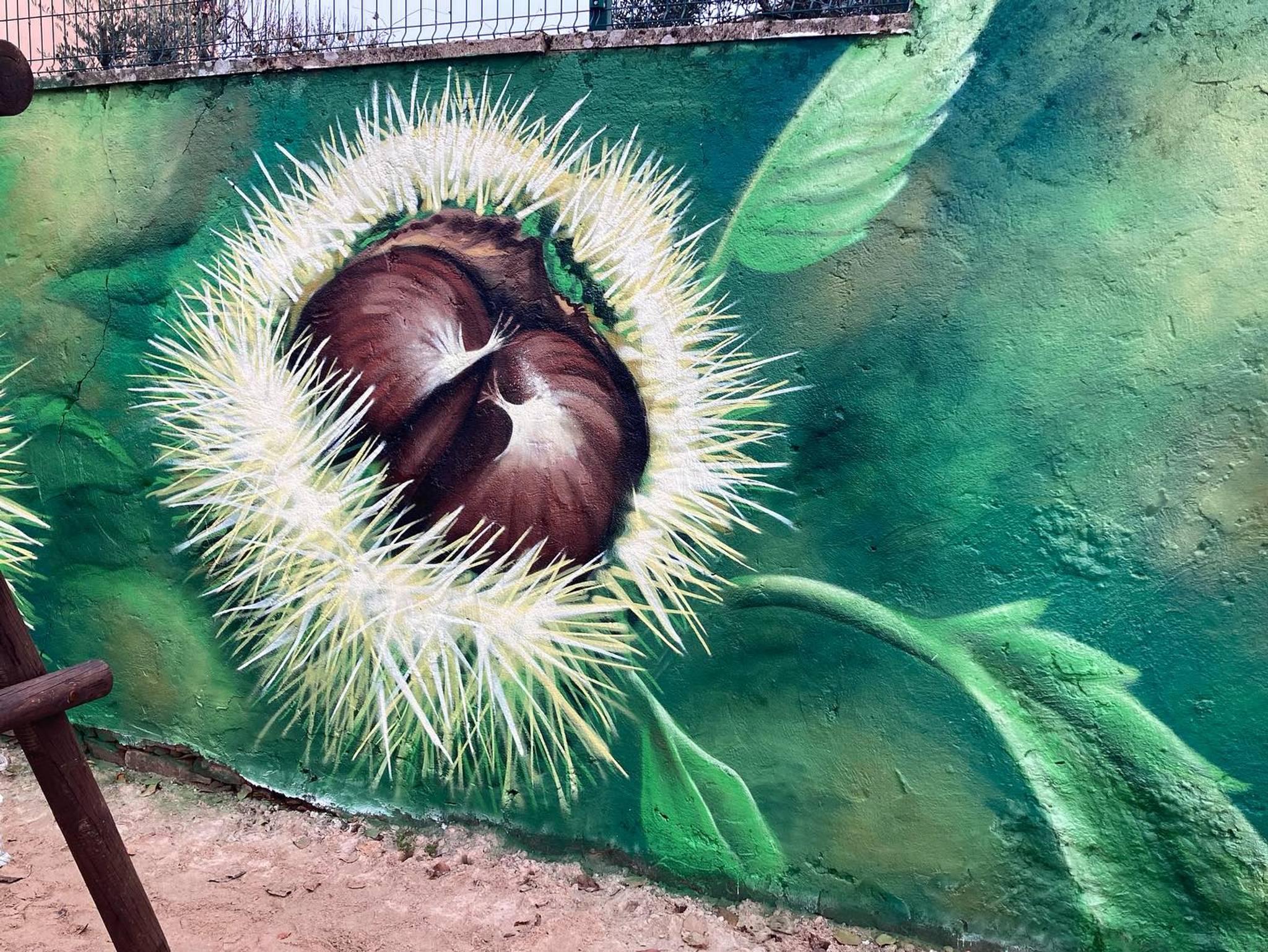 TripDTOS&mdash;Ouriços com castanhas